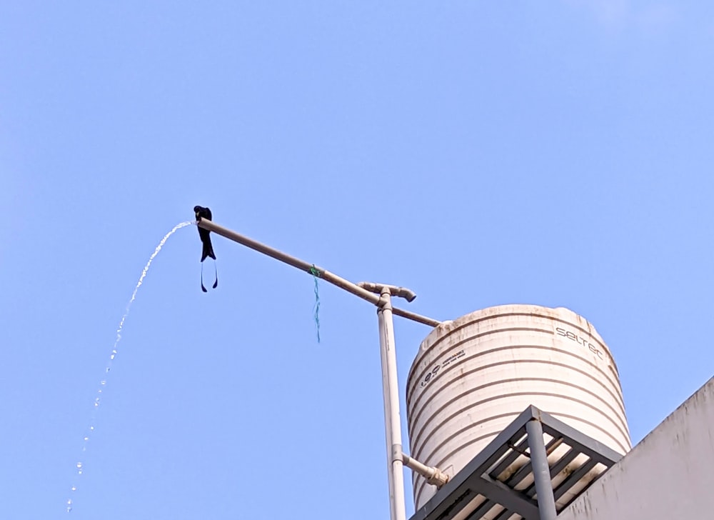 a bird sitting on top of a metal pole