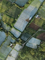 Aerial view of a patchwork of agricultural fields with varying shades of green and brown, interspersed with trees and shrubs. Long rectangular plots are covered with plastic sheets, possibly for greenhouse or protective farming. There are a few small structures, possibly farmhouses or sheds, scattered throughout the landscape. Narrow pathways and roads weave between the fields, providing access.