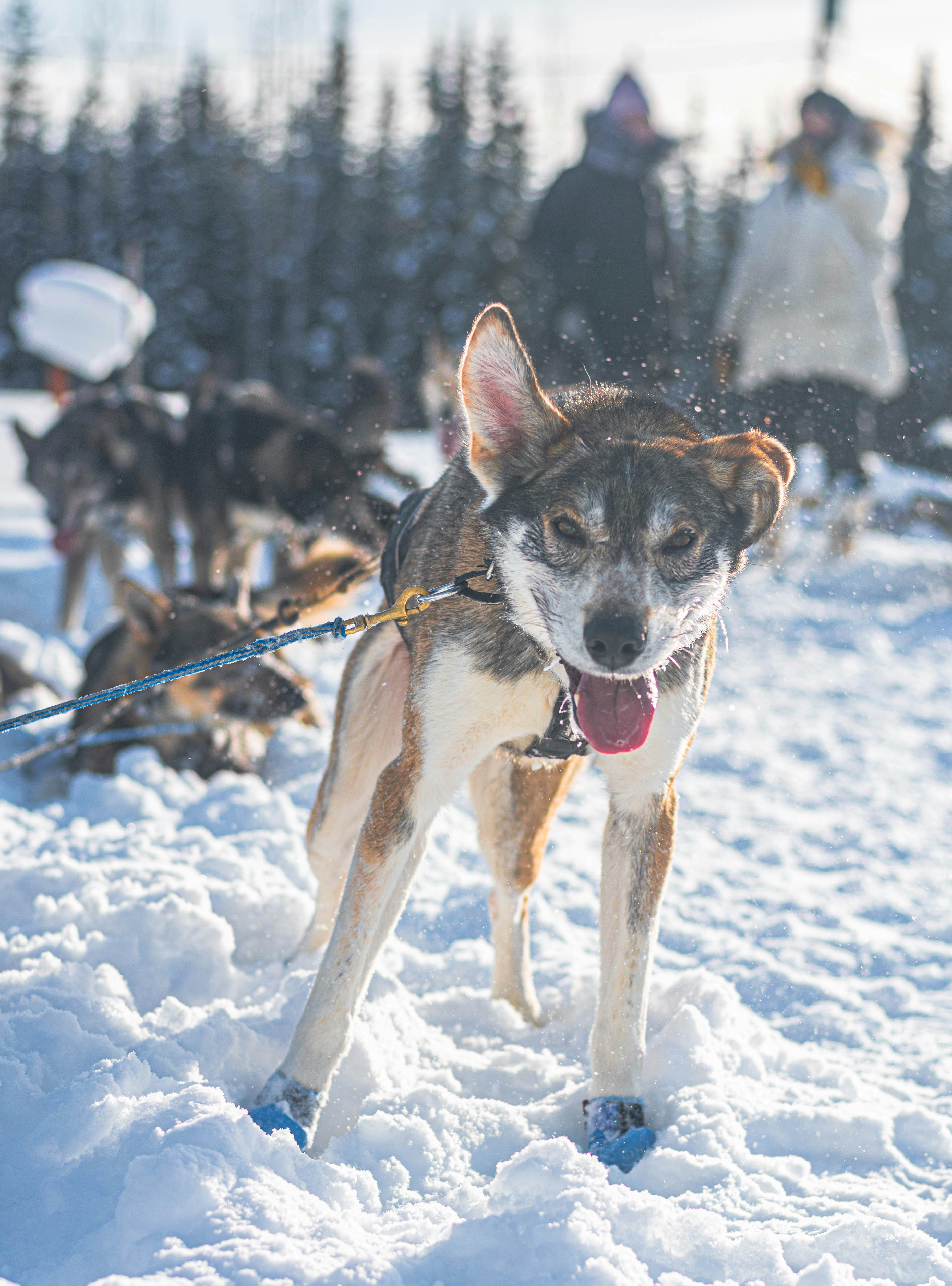 Photo by sihang_chen