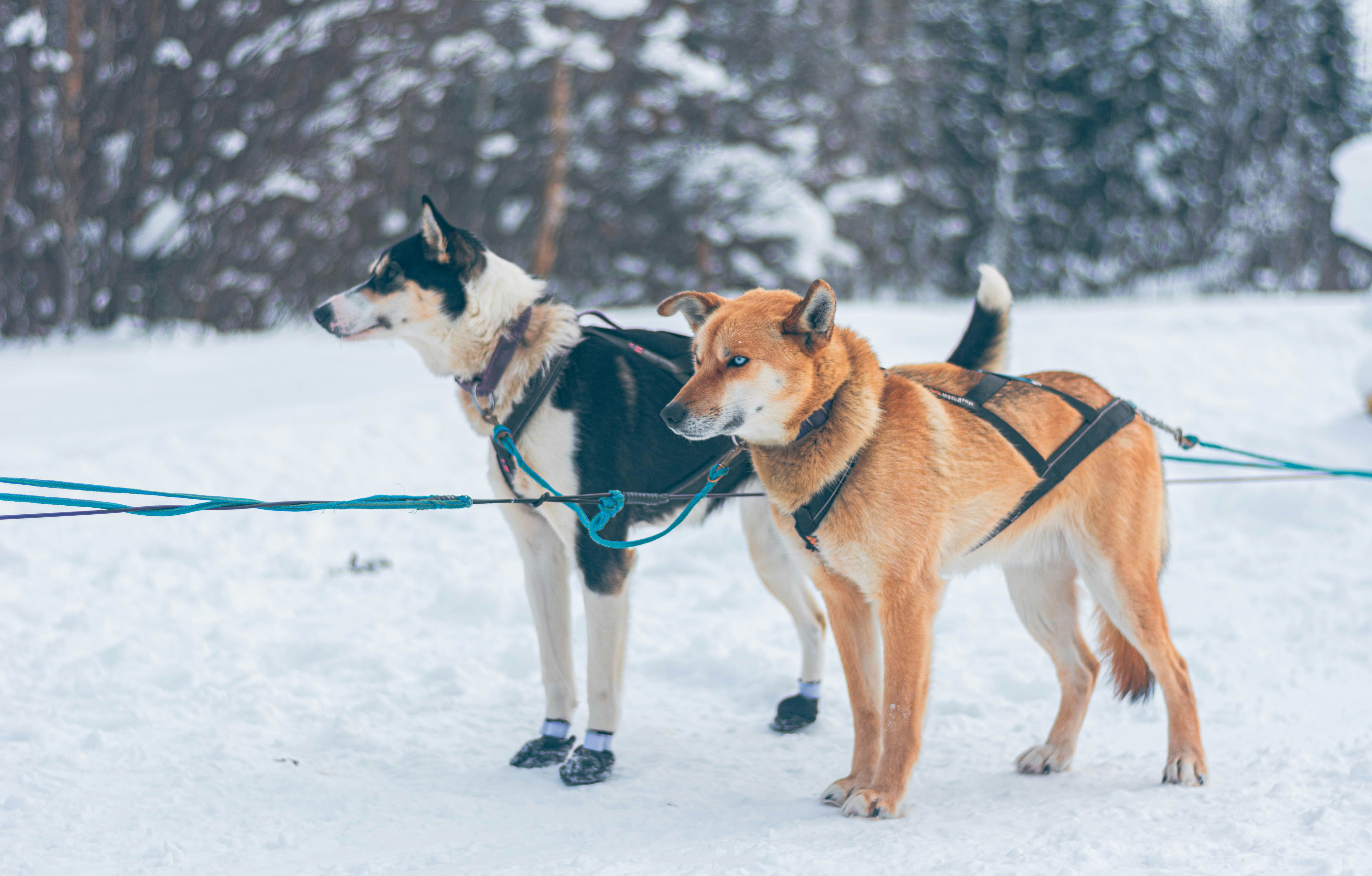 Photo by sihang_chen