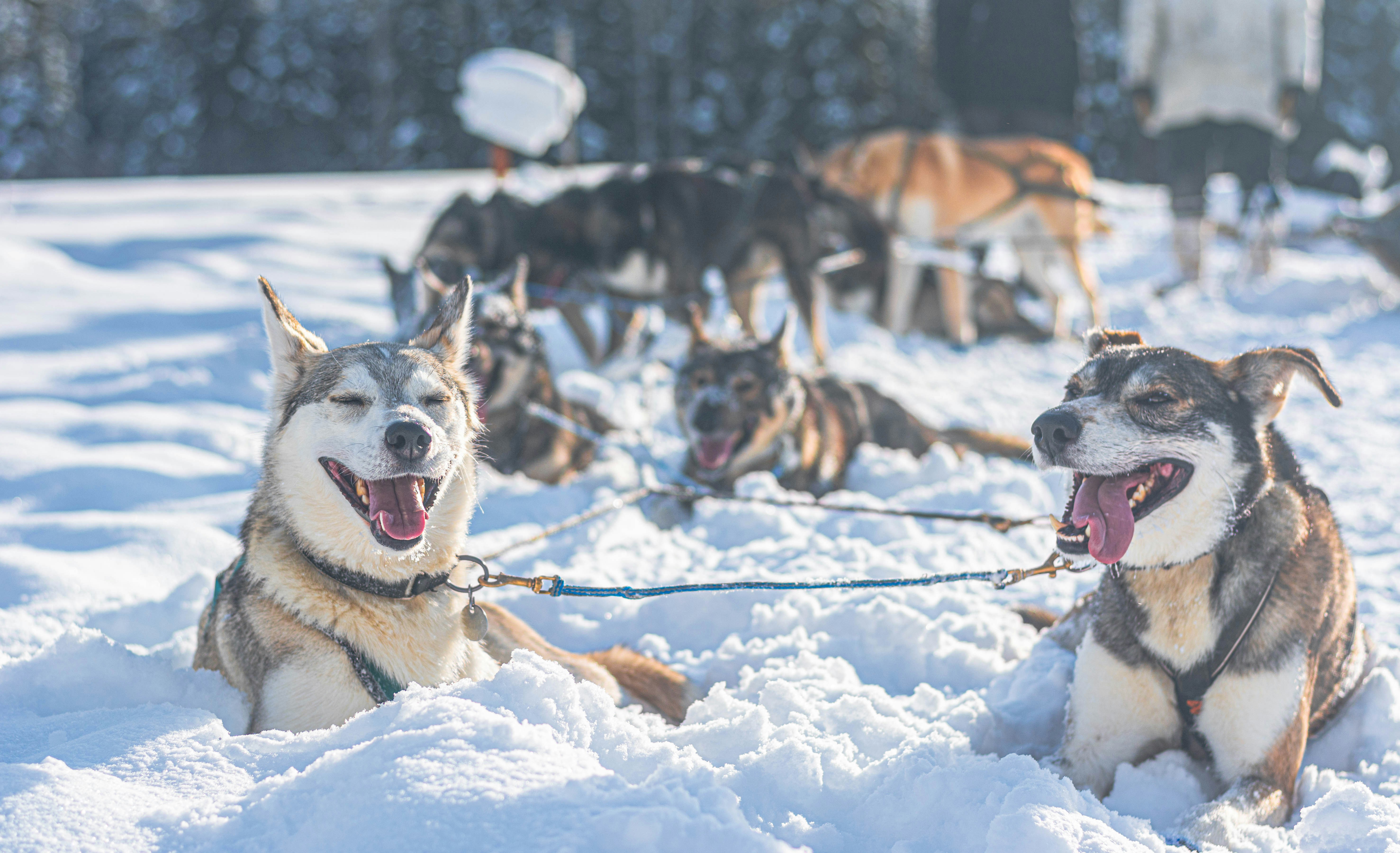 Photo by sihang_chen