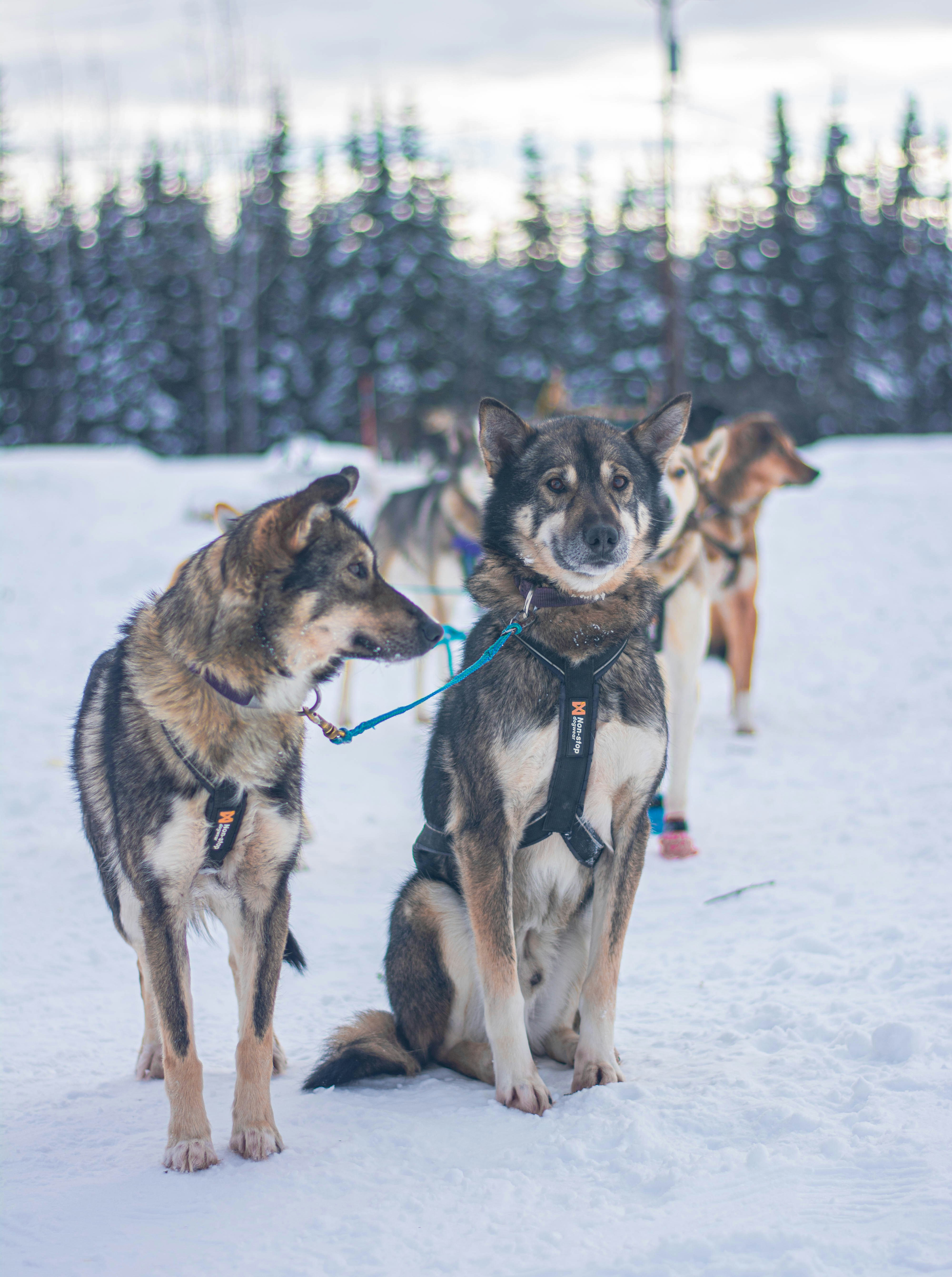 Photo by sihang_chen