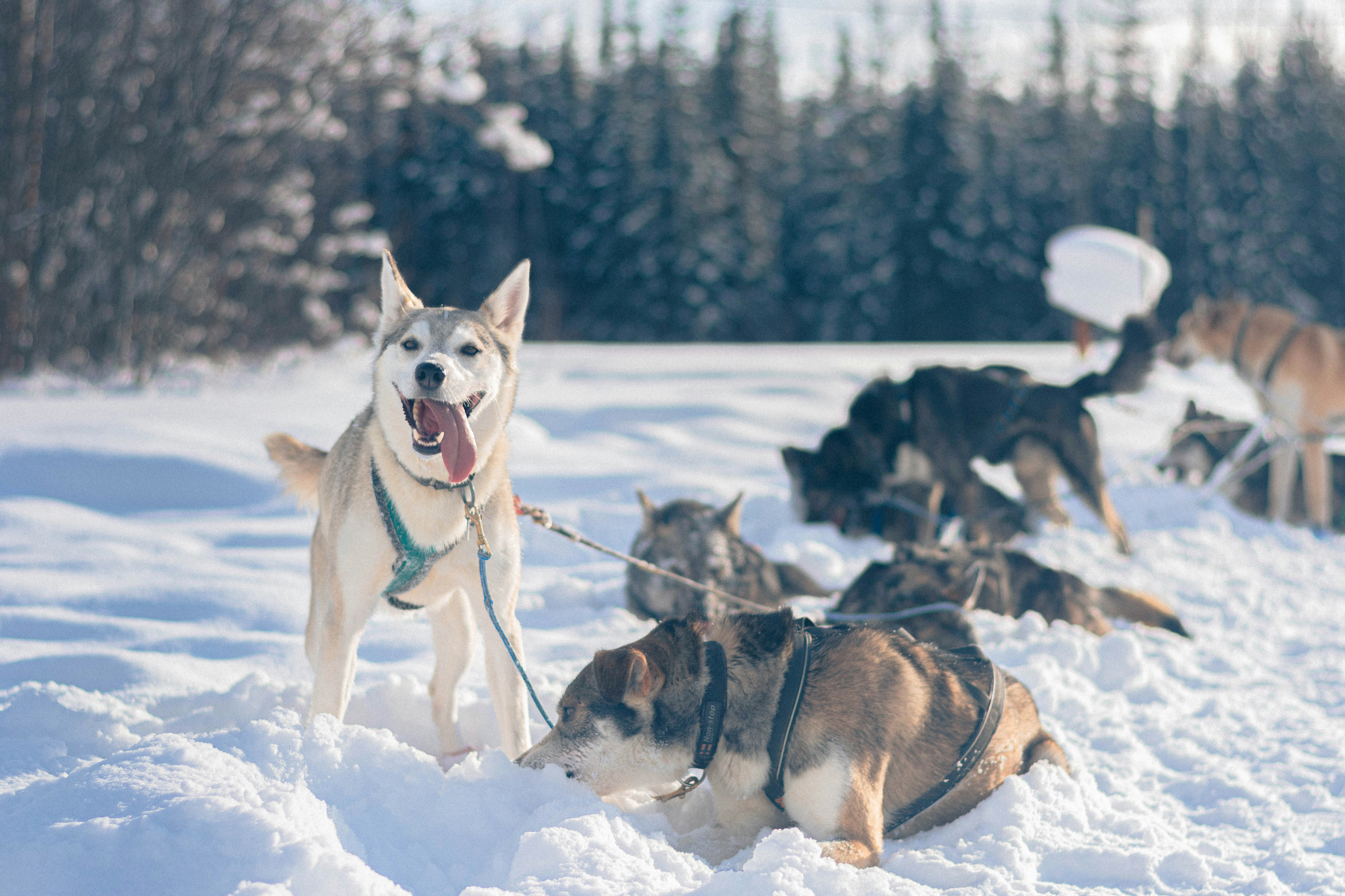 Photo by sihang_chen