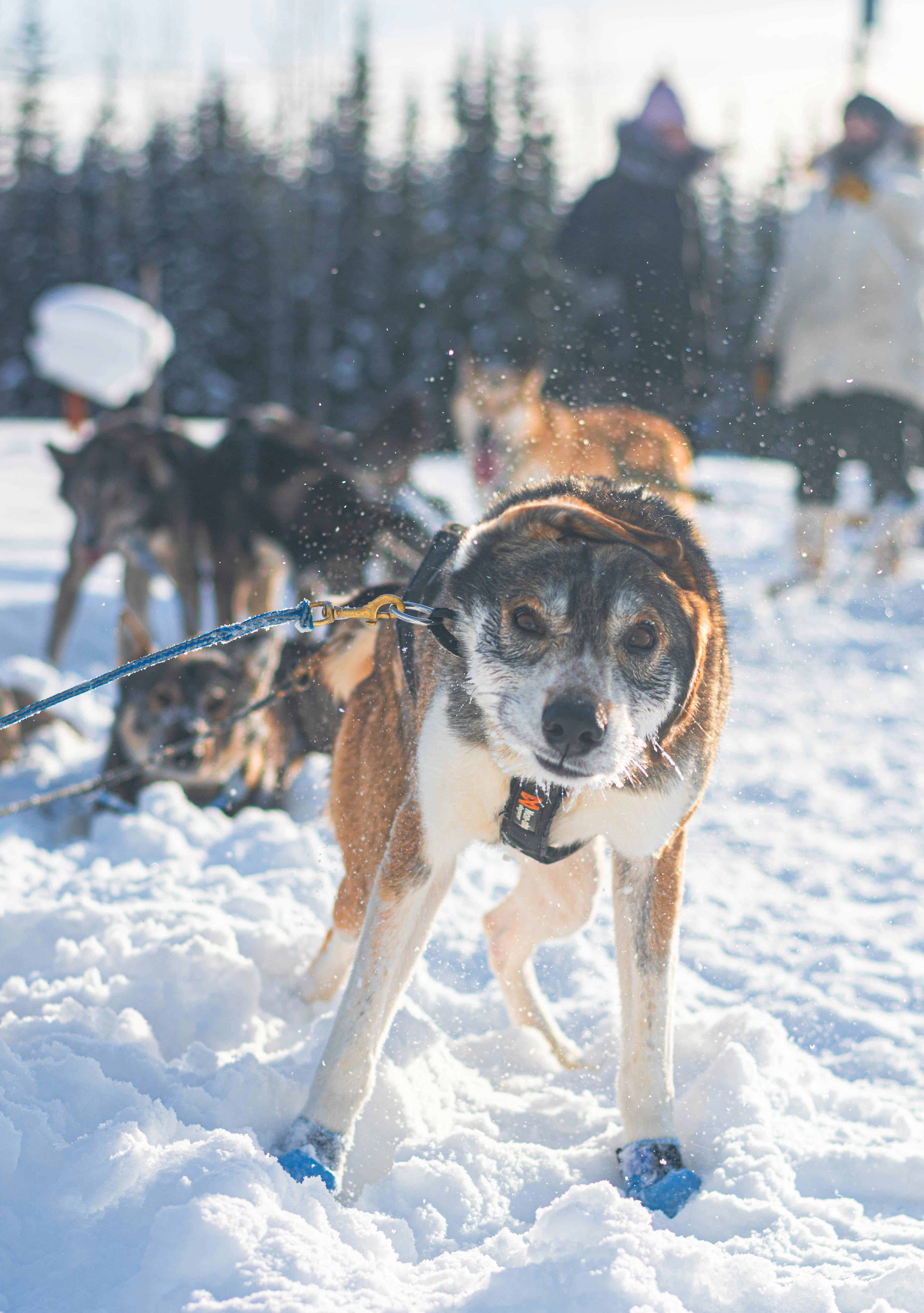 Photo by sihang_chen