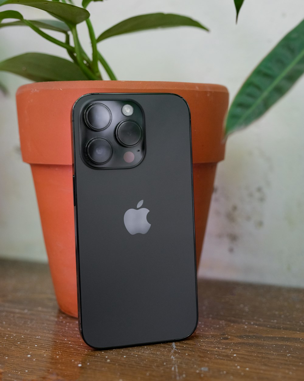 a close up of a cell phone near a potted plant