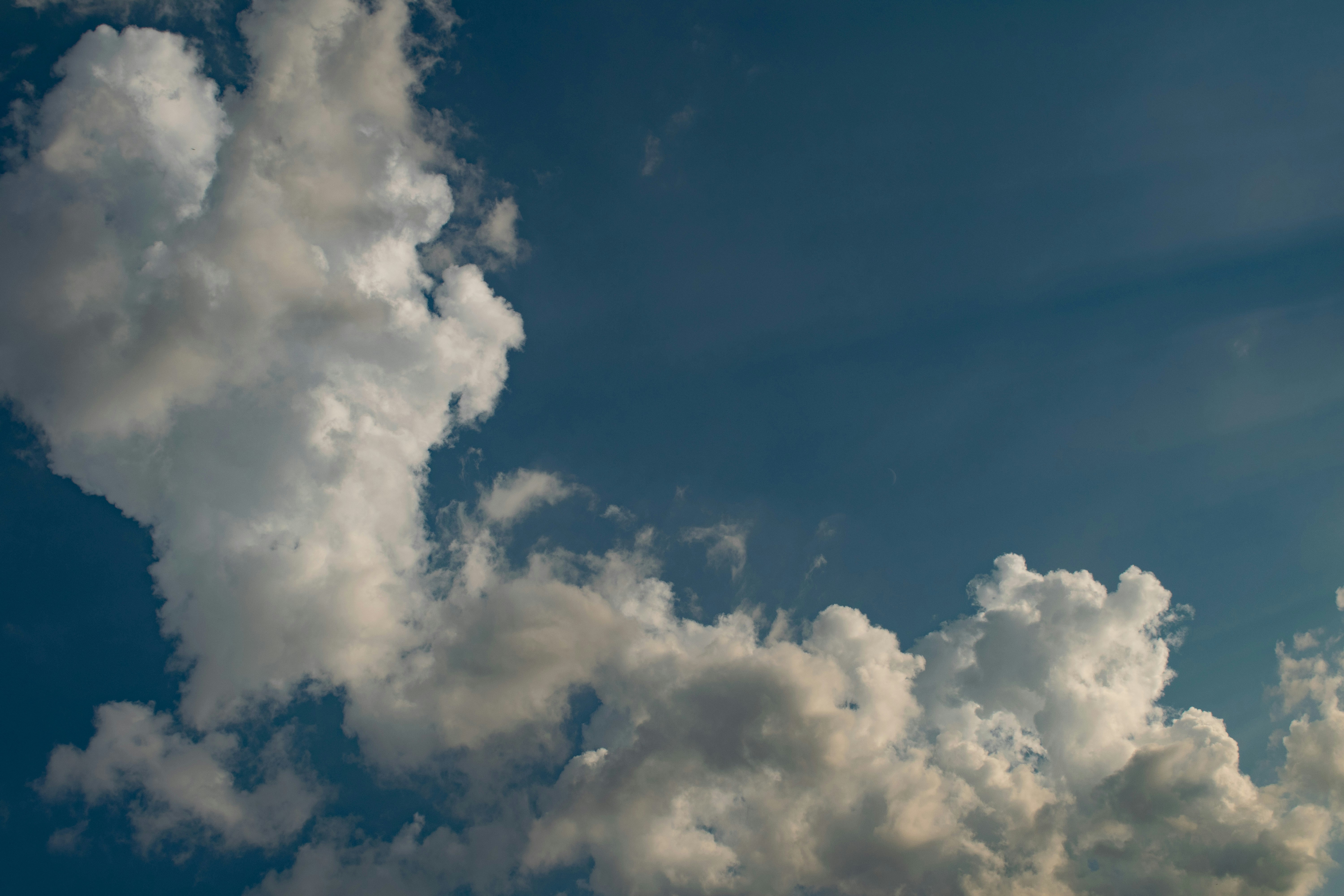 Photo by kathyryn_tripp