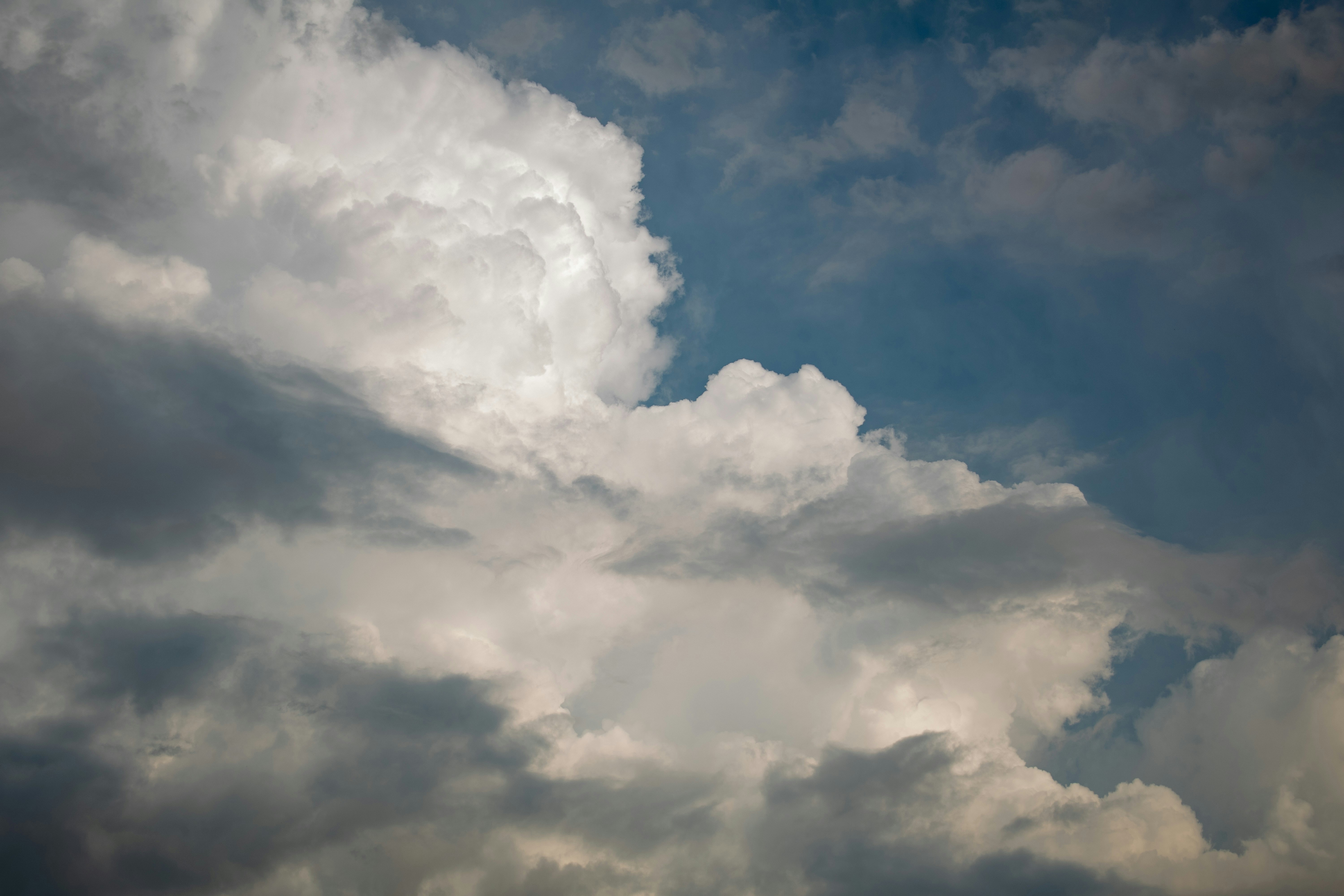 Photo by kathyryn_tripp