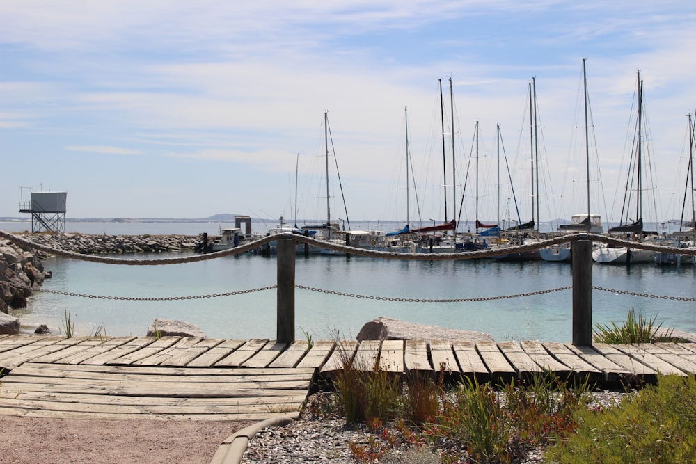 a dock with a bunch of boats in the water