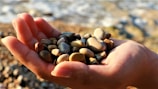 Hand holding a handful of polished beach pebbles with the ocean in the background.