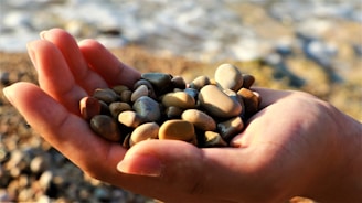 A hand is holding a collection of smooth, multicolored pebbles with a blurred beach and water in the background. The sunlight casts a warm glow on the stones, enhancing their earthy tones and textures.