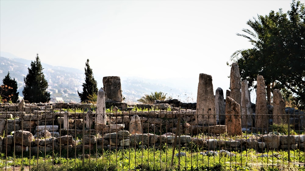 the ruins of the ancient city of delphinia