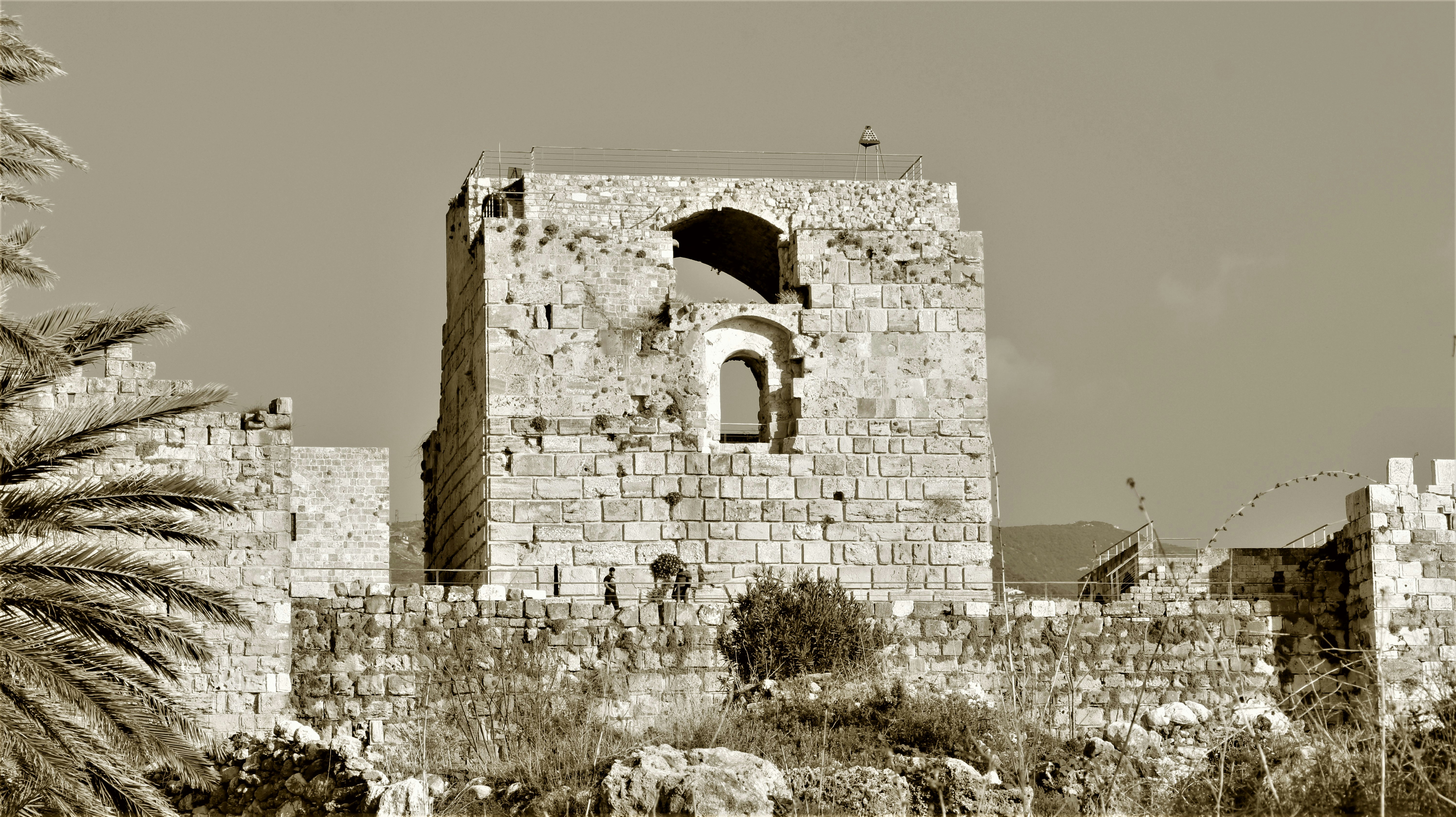 Photo by jack_harbieh