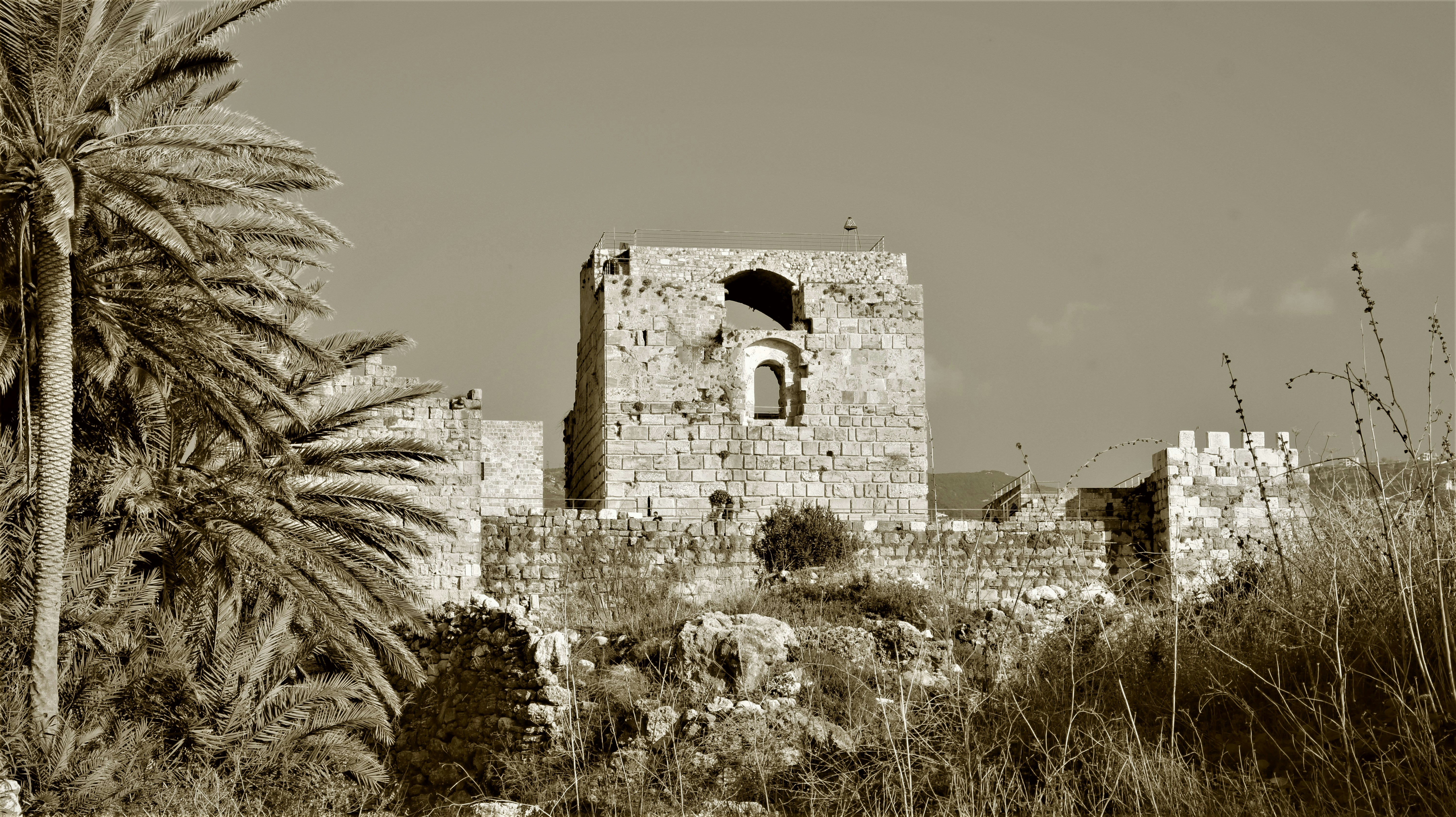 Photo by jack_harbieh