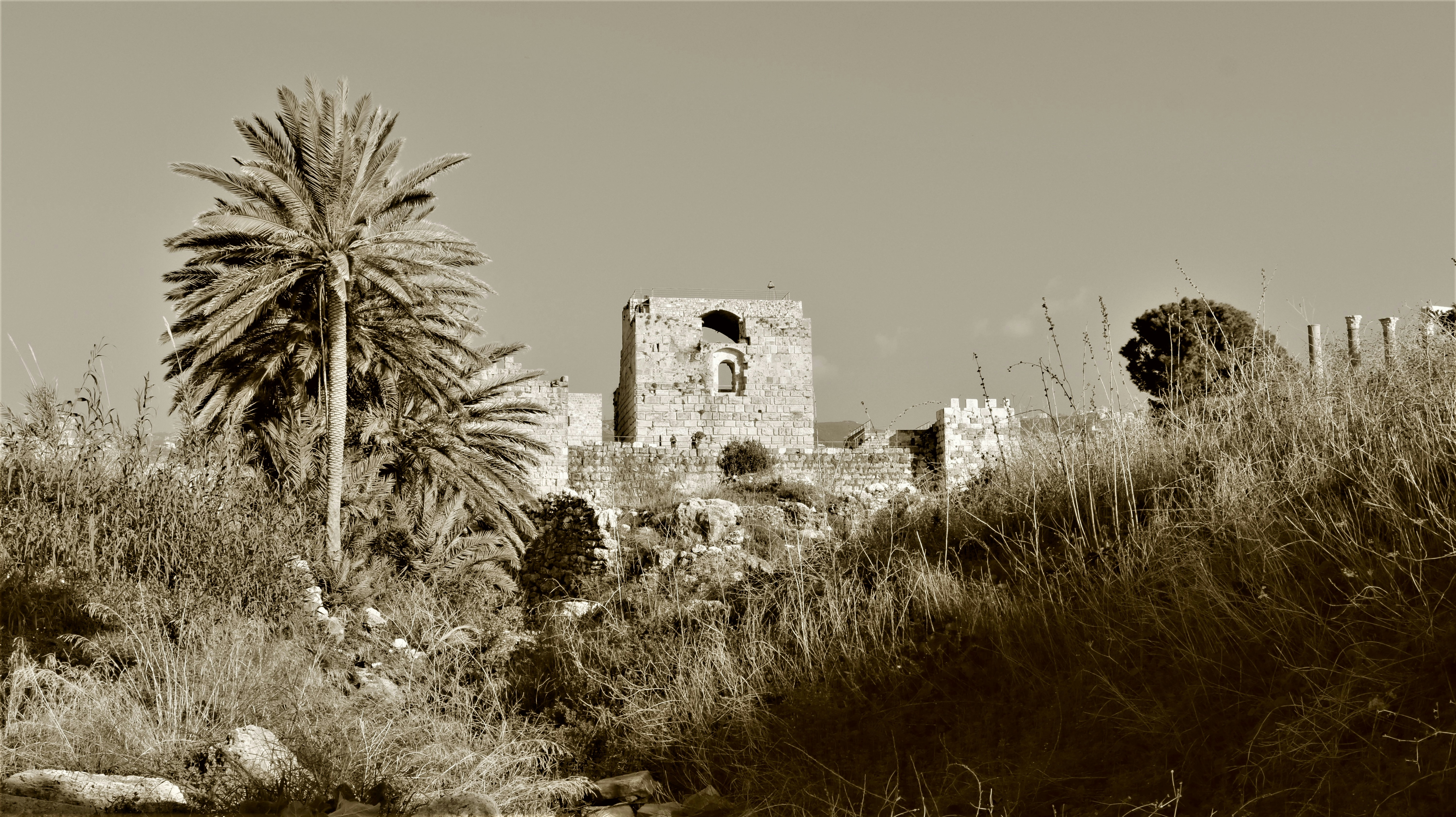 Photo by jack_harbieh