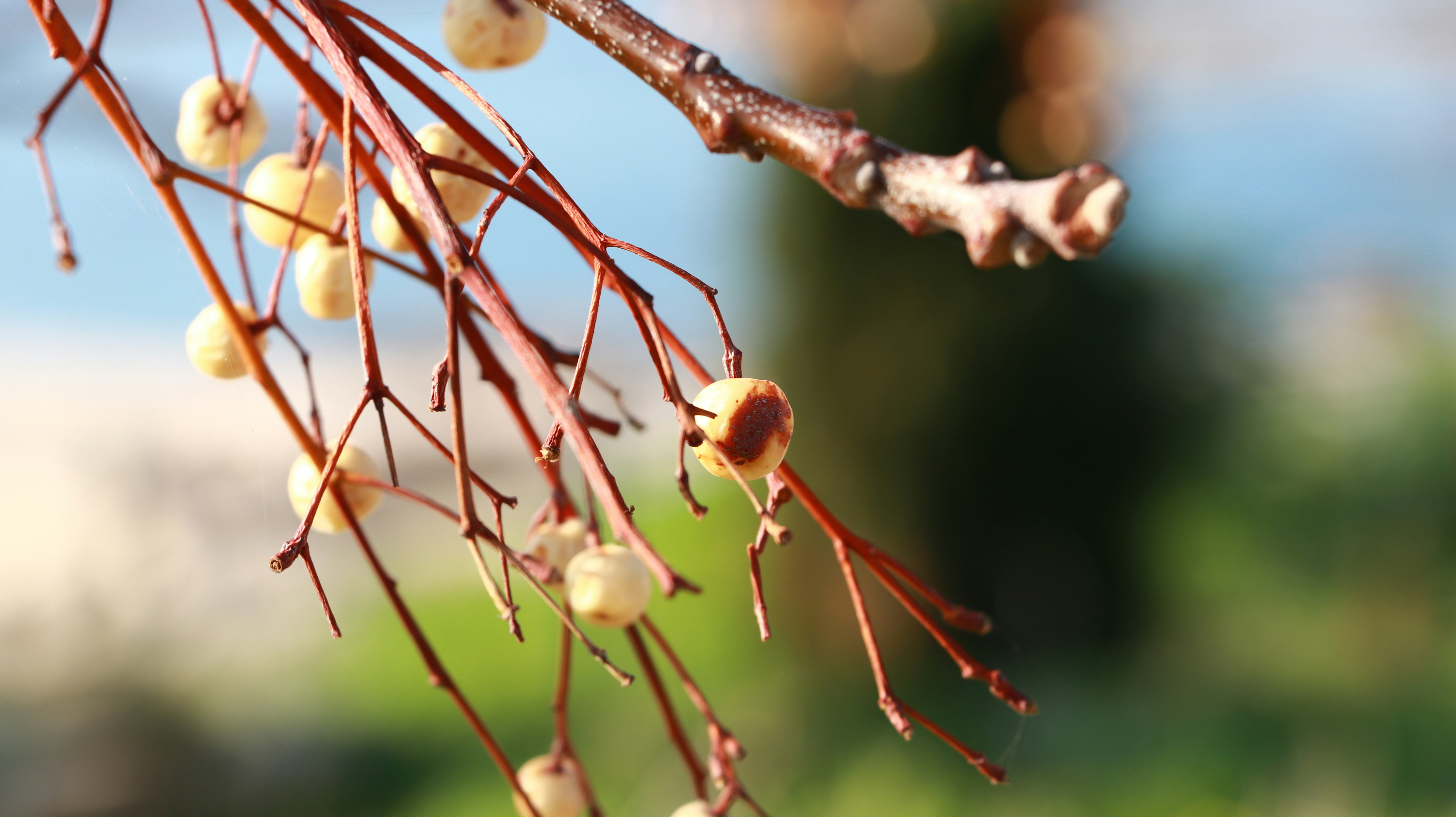 Photo by jack_harbieh