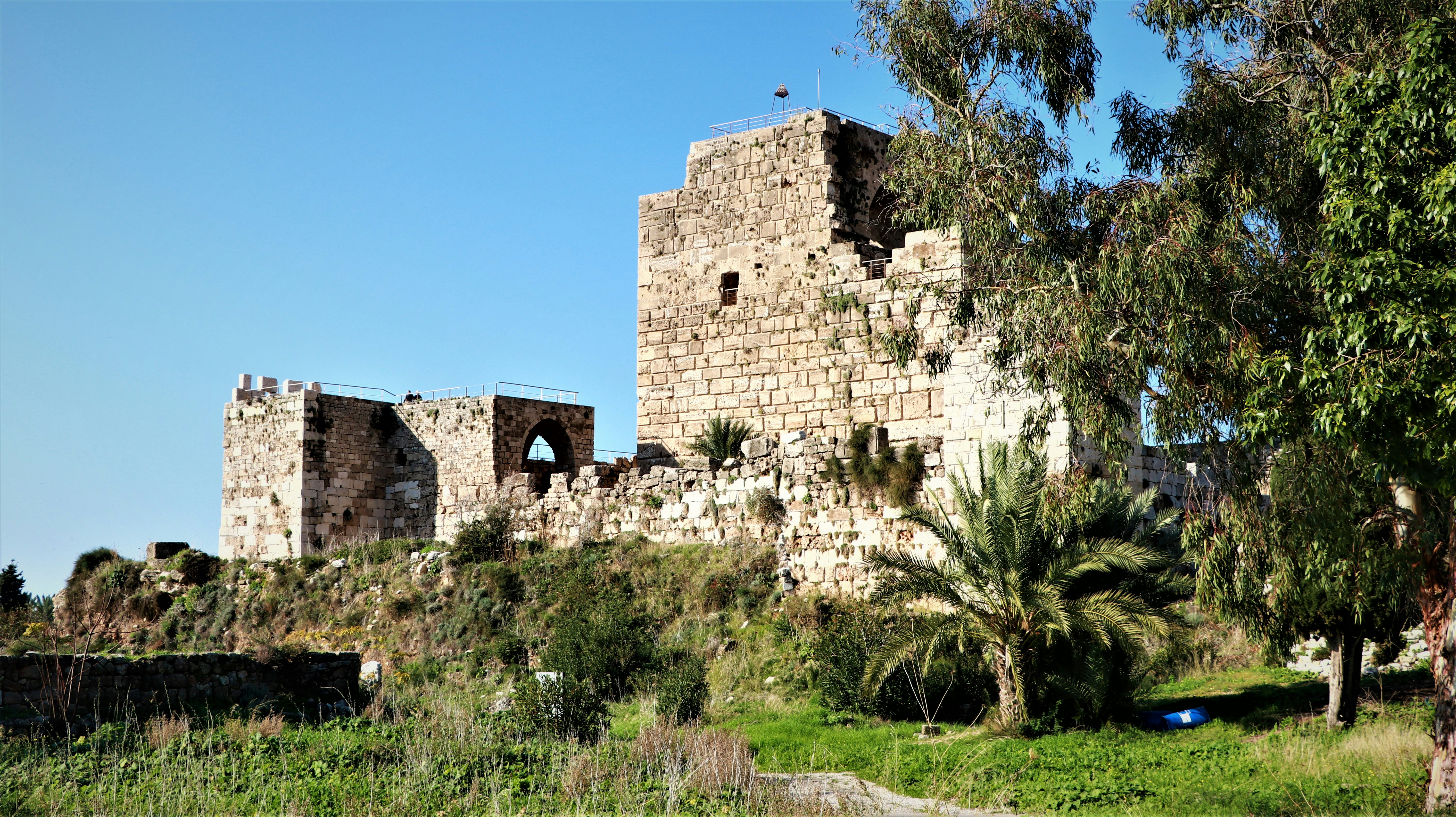 Photo by jack_harbieh