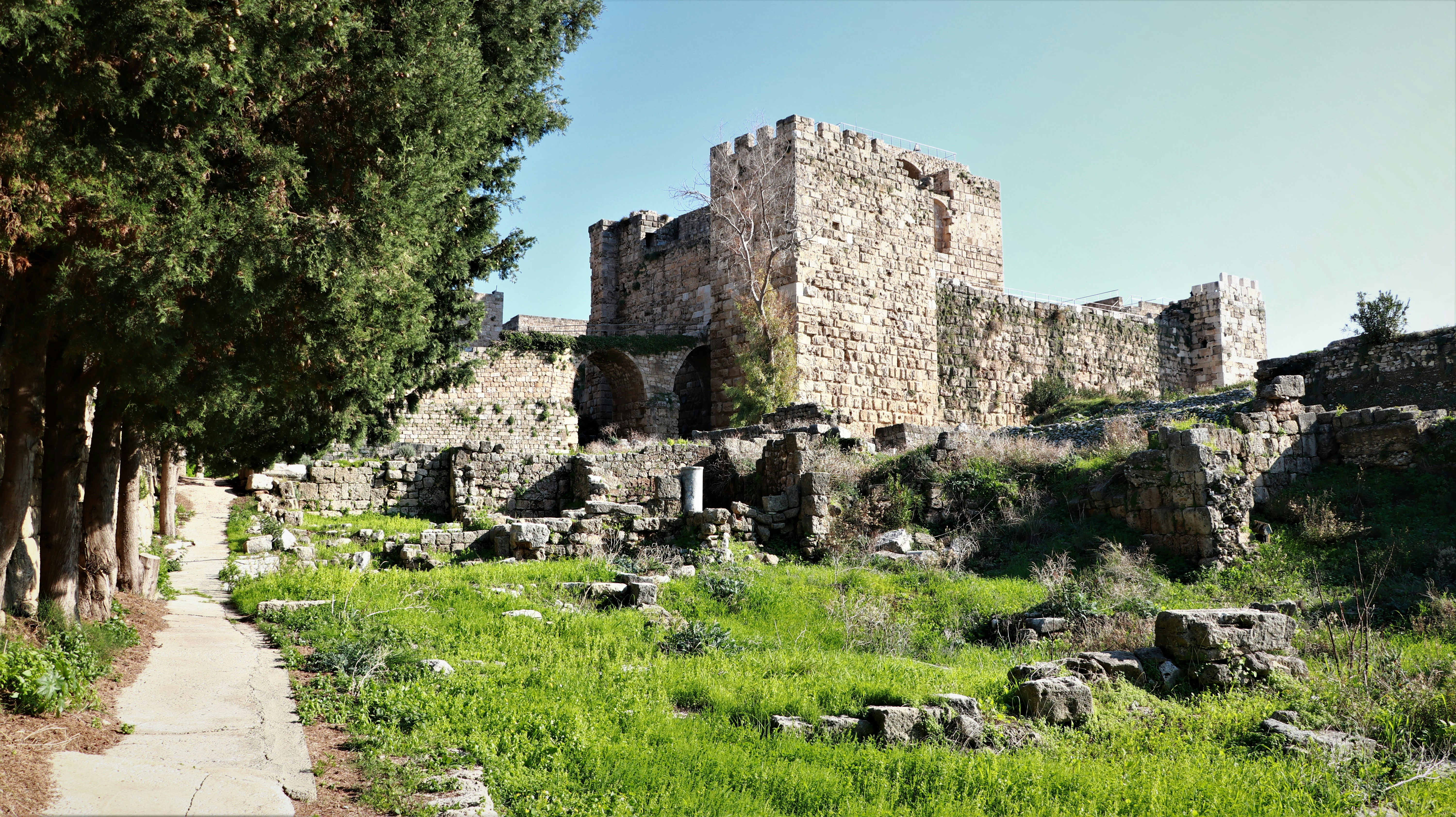 Photo by jack_harbieh