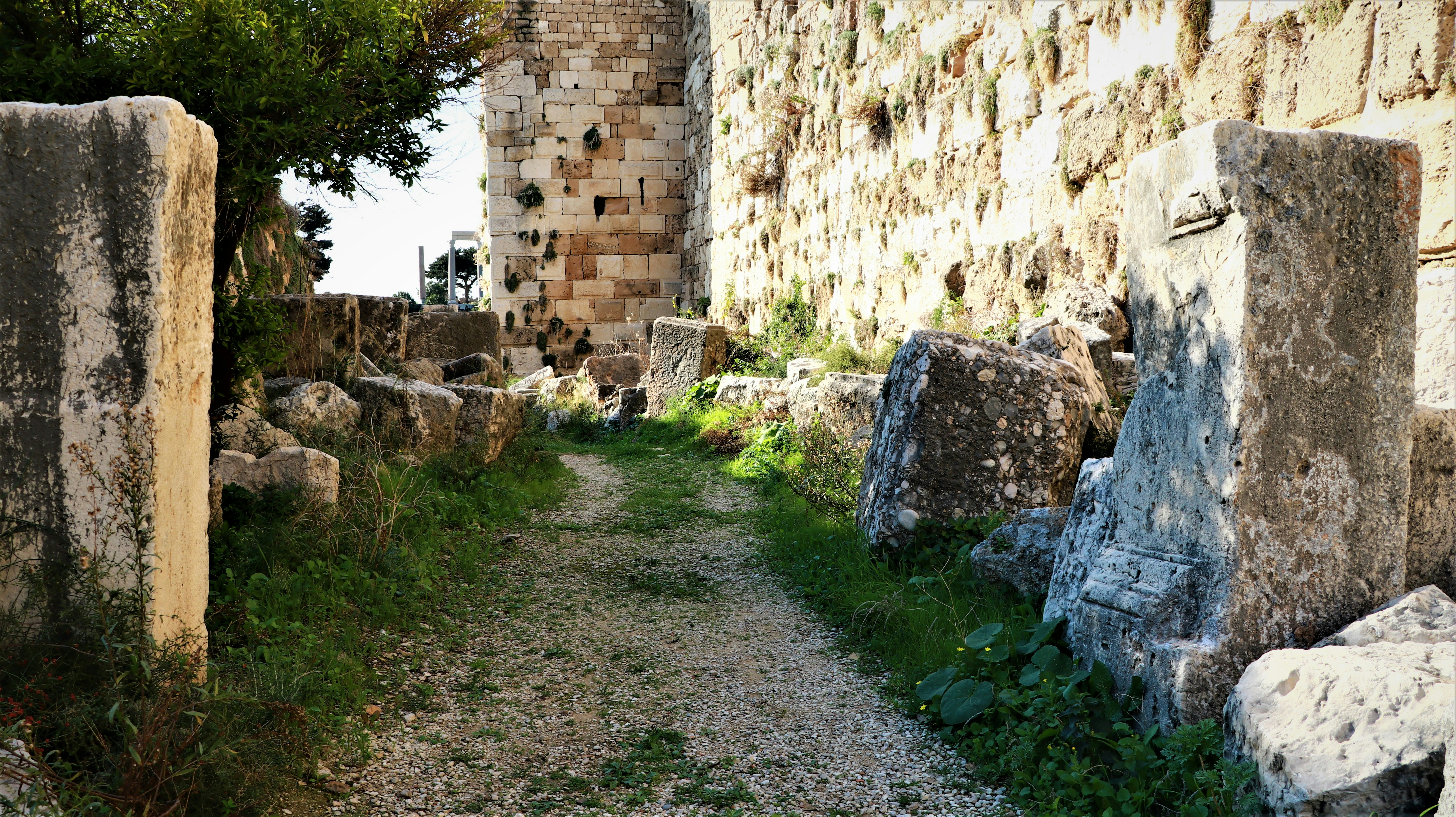 Photo by jack_harbieh