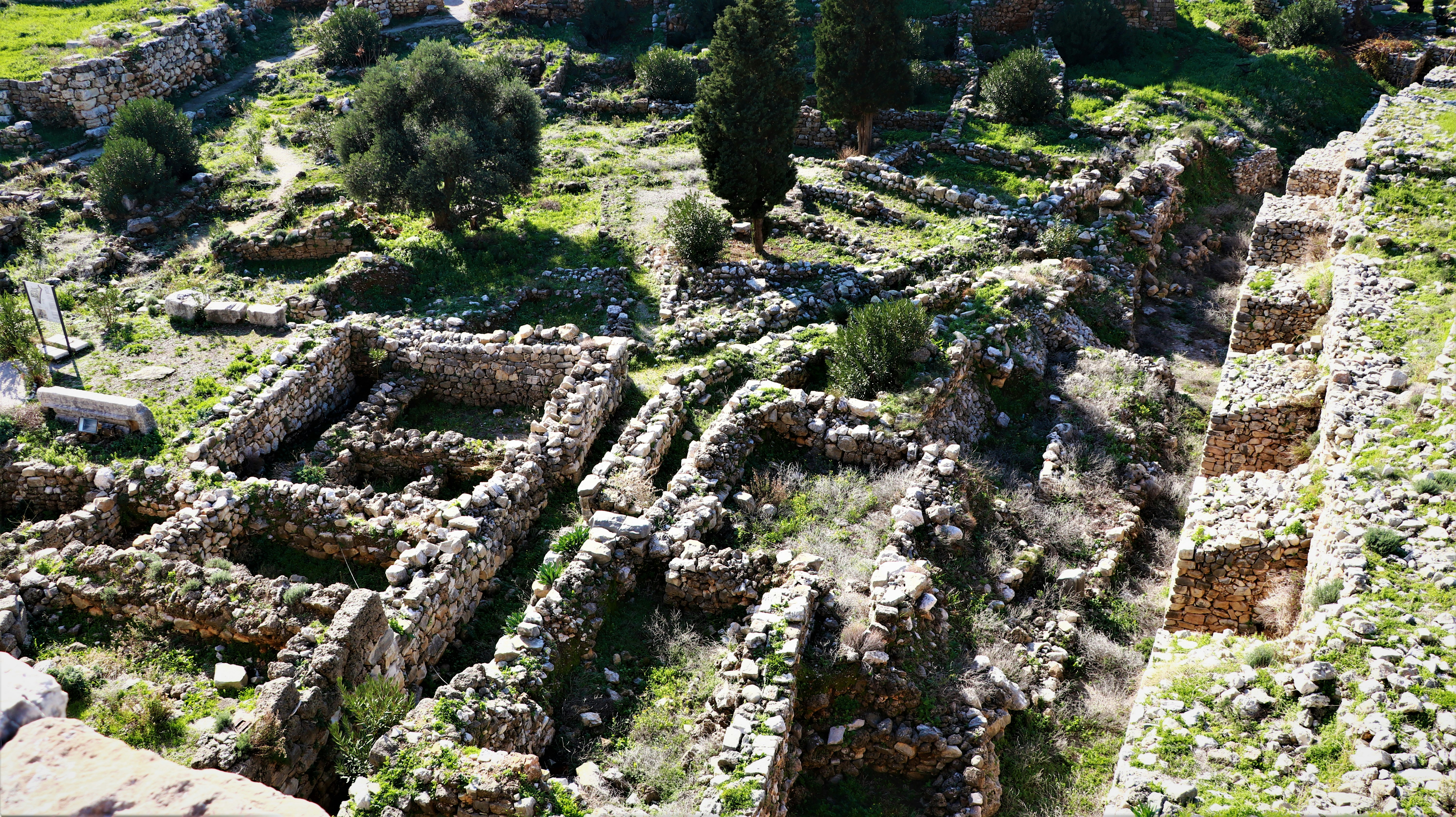 Photo by jack_harbieh