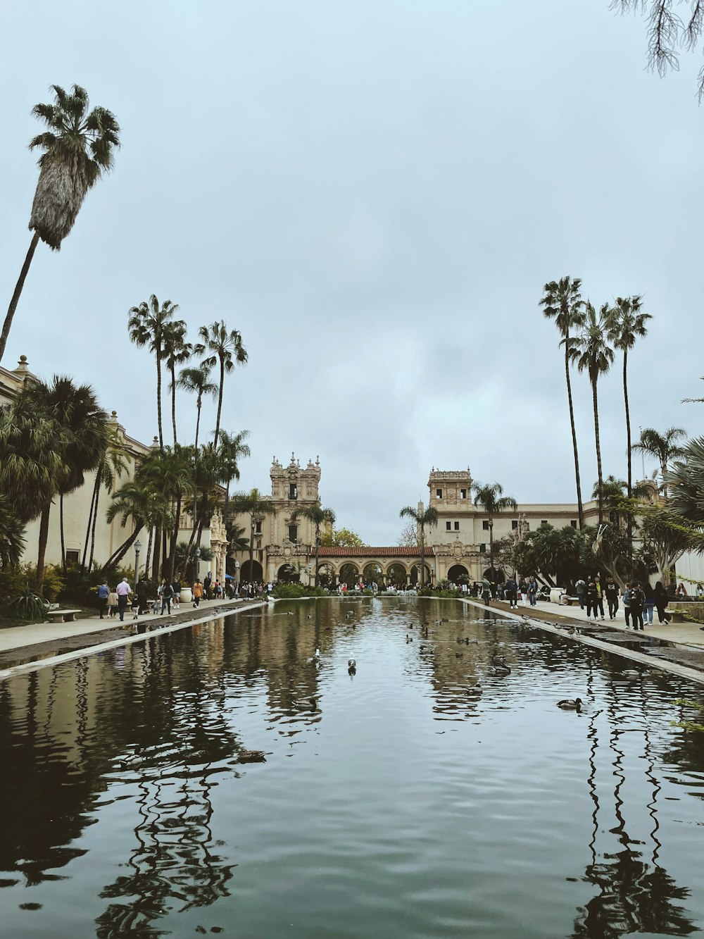 a pond surrounded by palm trees and a building