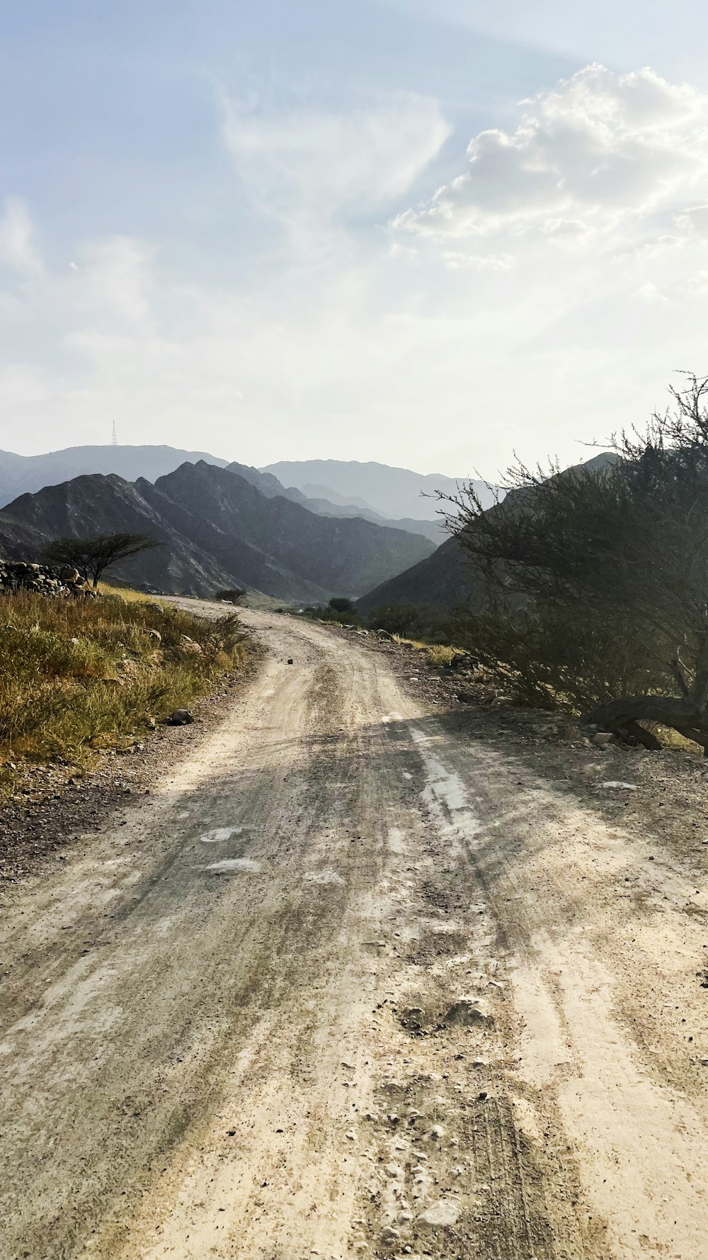 a dirt road with mountains in the background