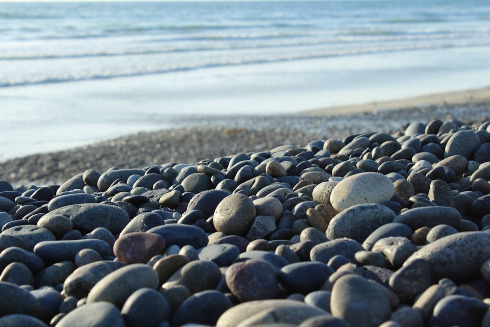 a bunch of rocks that are on a beach