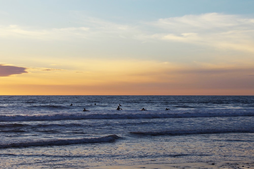 a group of people riding surfboards on top of a wave