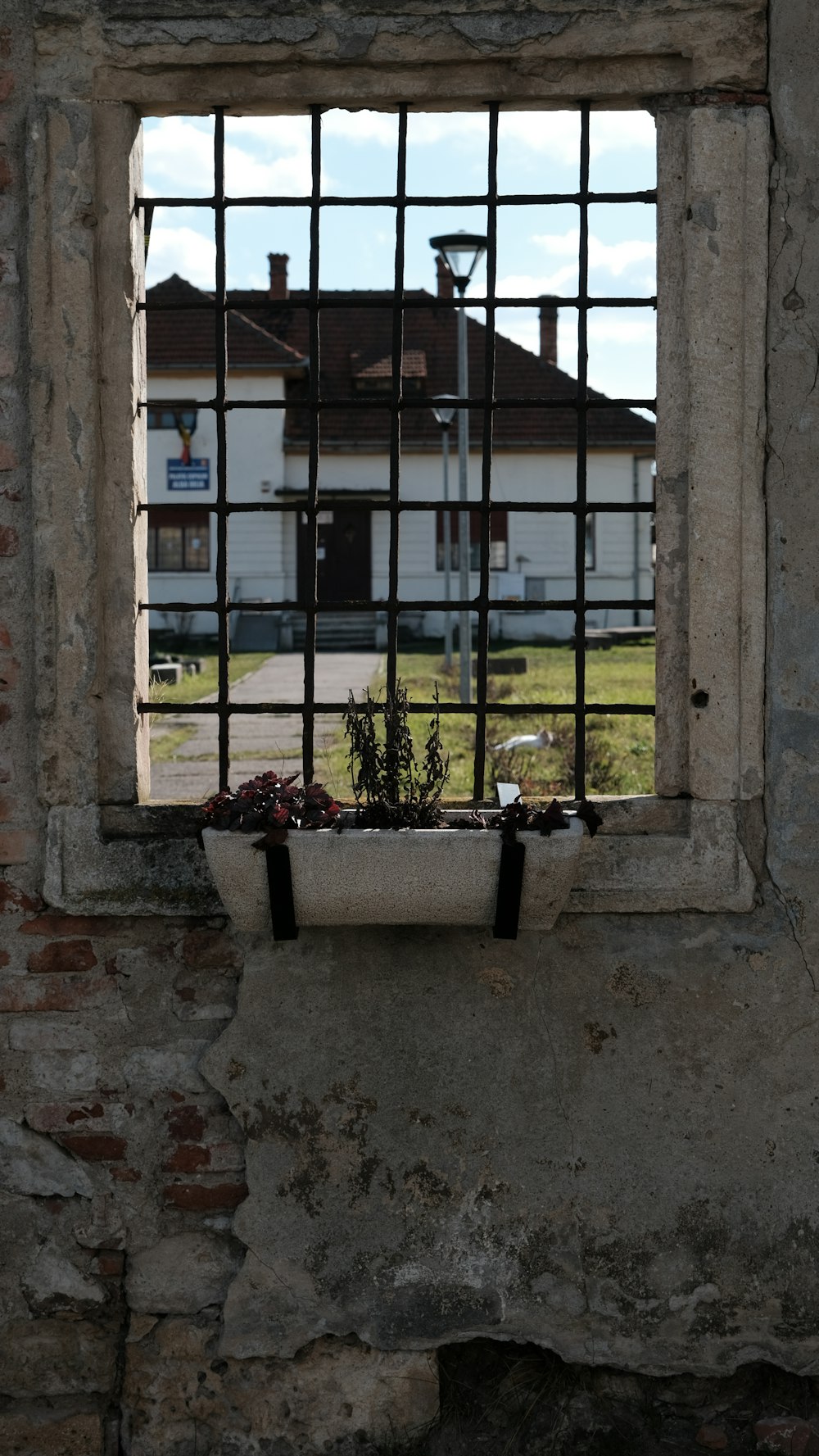 a window with bars and a planter in it