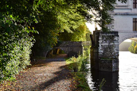 A peaceful riverside trail with sunlight filtering through the trees.