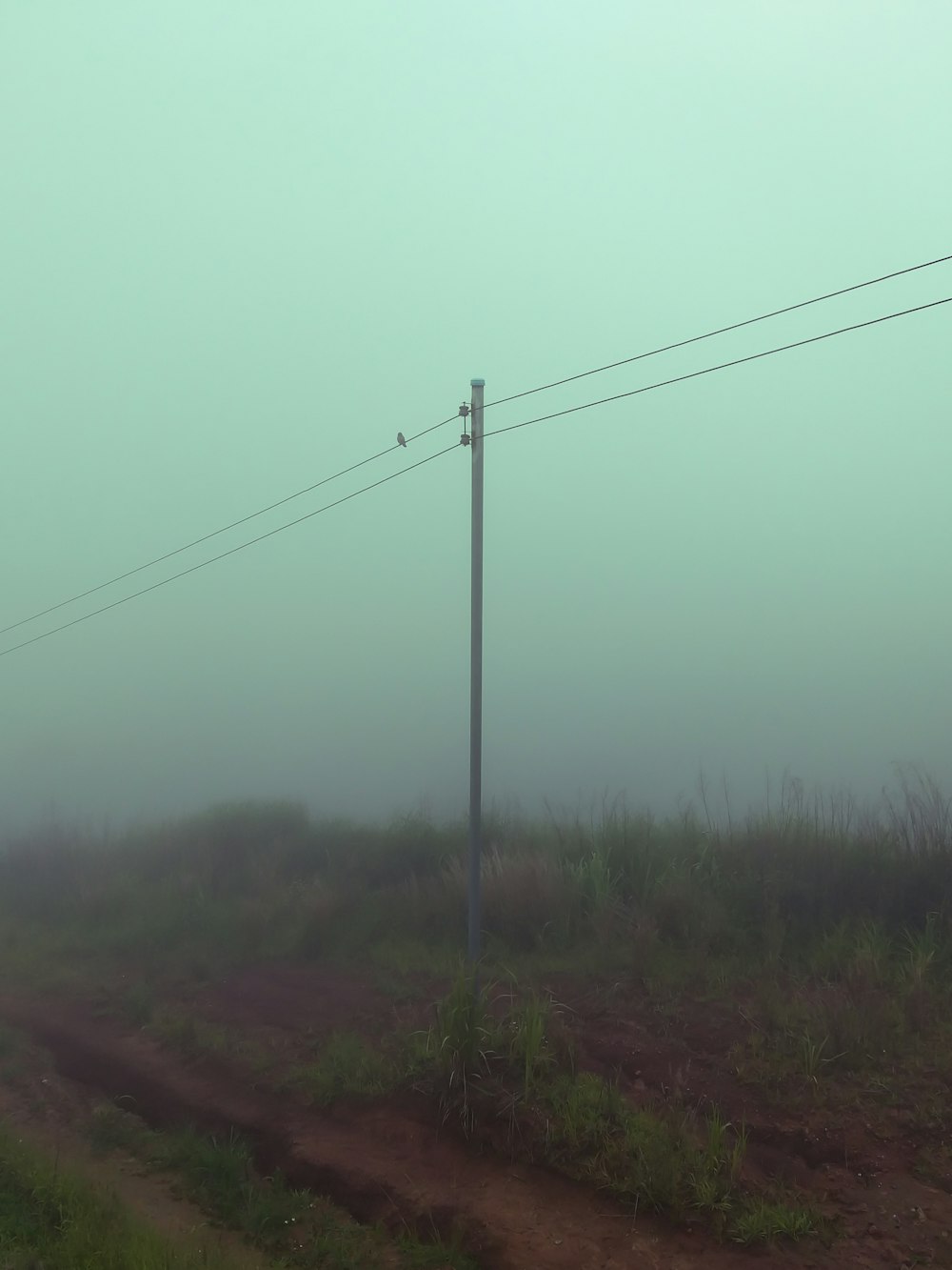 a foggy field with a telephone pole in the foreground