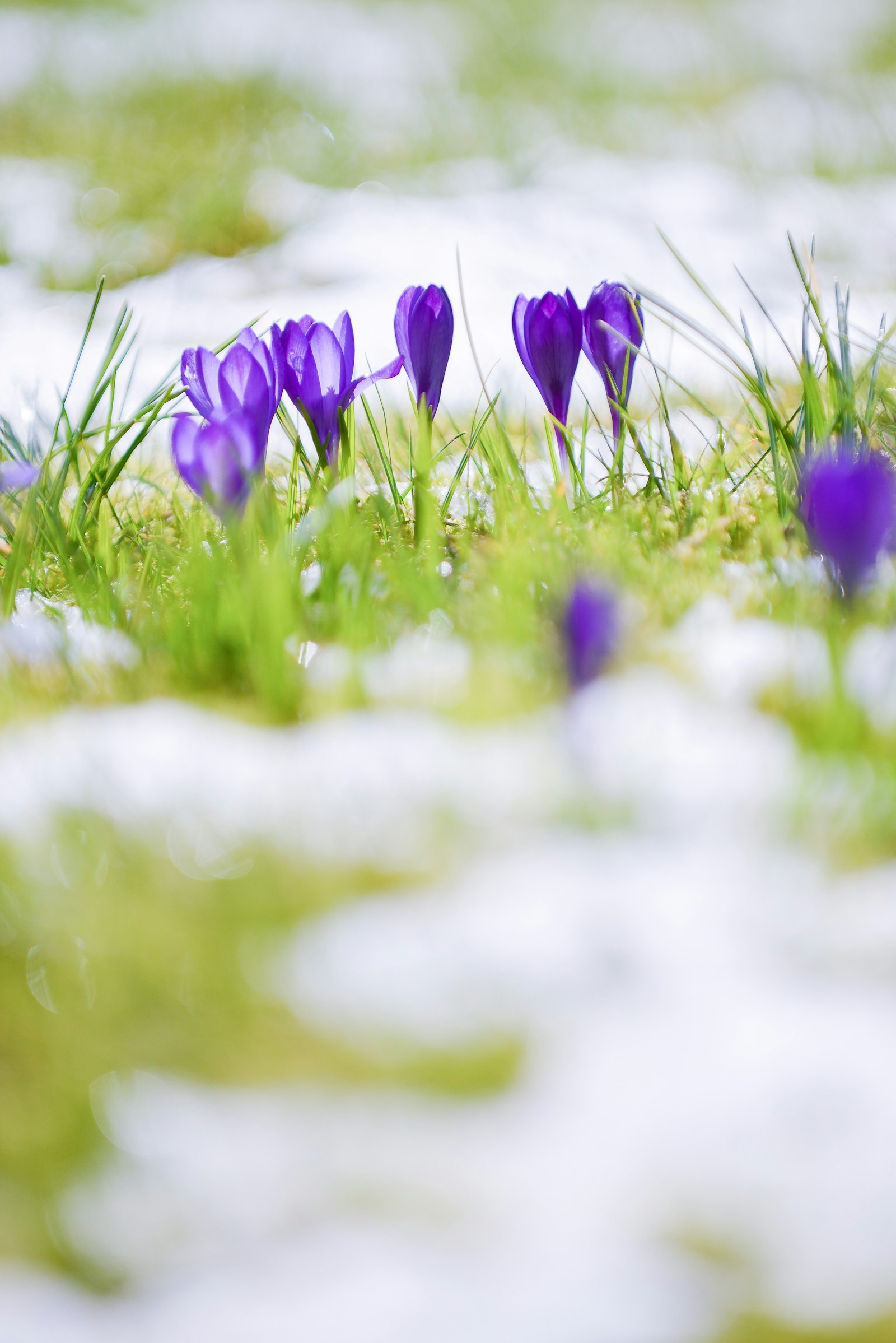 Things to Do in Waterloo Region This March Break (Fun for Kids of All Ages)