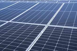 A close-up view of a large array of solar panels, with a uniform pattern of dark blue photovoltaic cells arranged in a grid. The panels are lined with silver frames, reflecting sunlight and indicating a clear day.