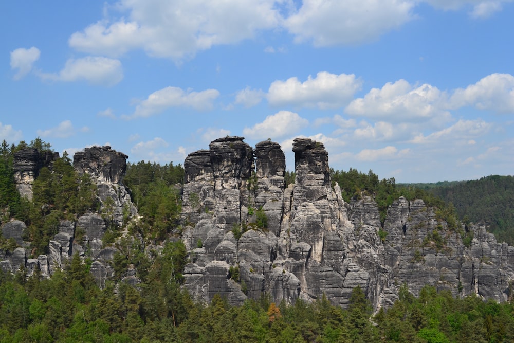 a group of rocks in the middle of a forest