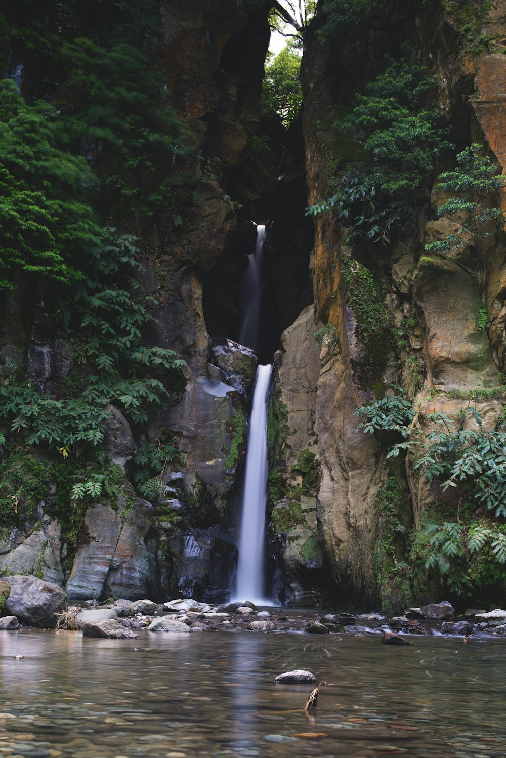 a waterfall in the middle of a forest