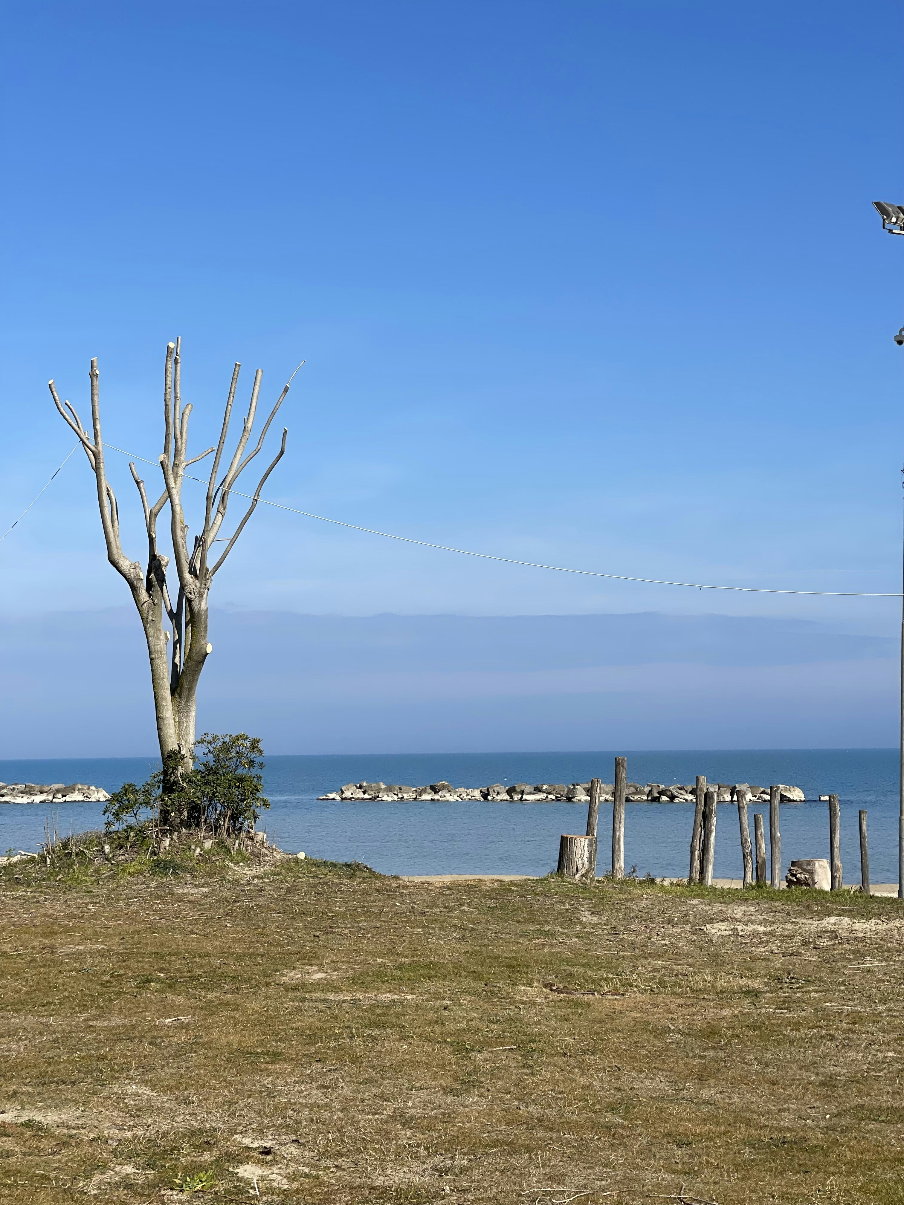 Photo by alessandroquagliarini