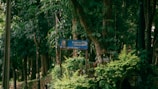 A lush forest scene with dense green foliage surrounding a wooden sign. The sign reads 'Tourist Lodge' and 'Boating Lagoon' with arrows pointing in various directions.