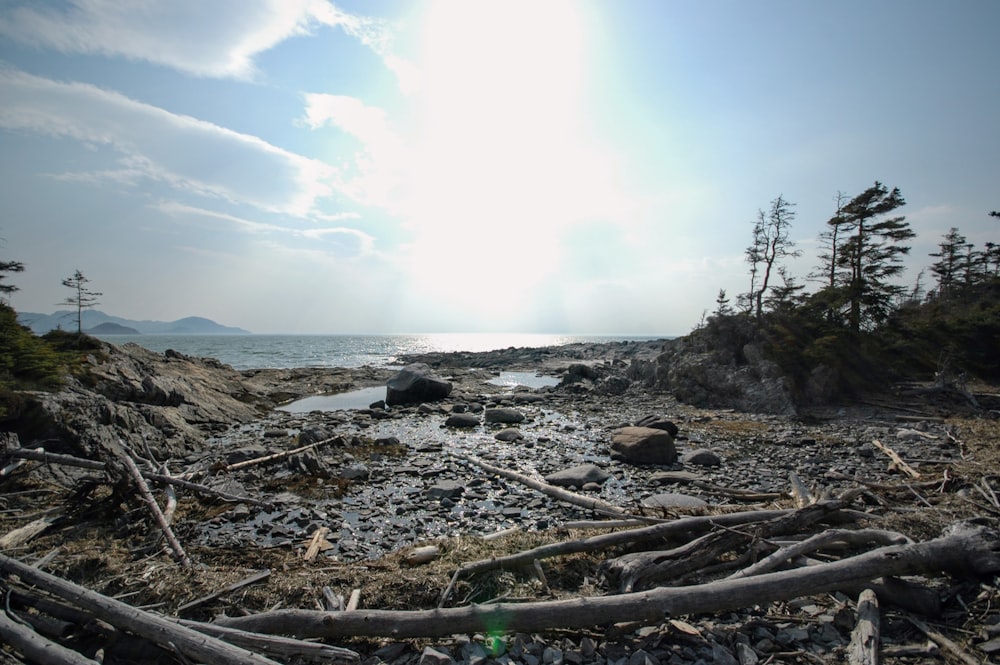 the sun is shining over a rocky beach