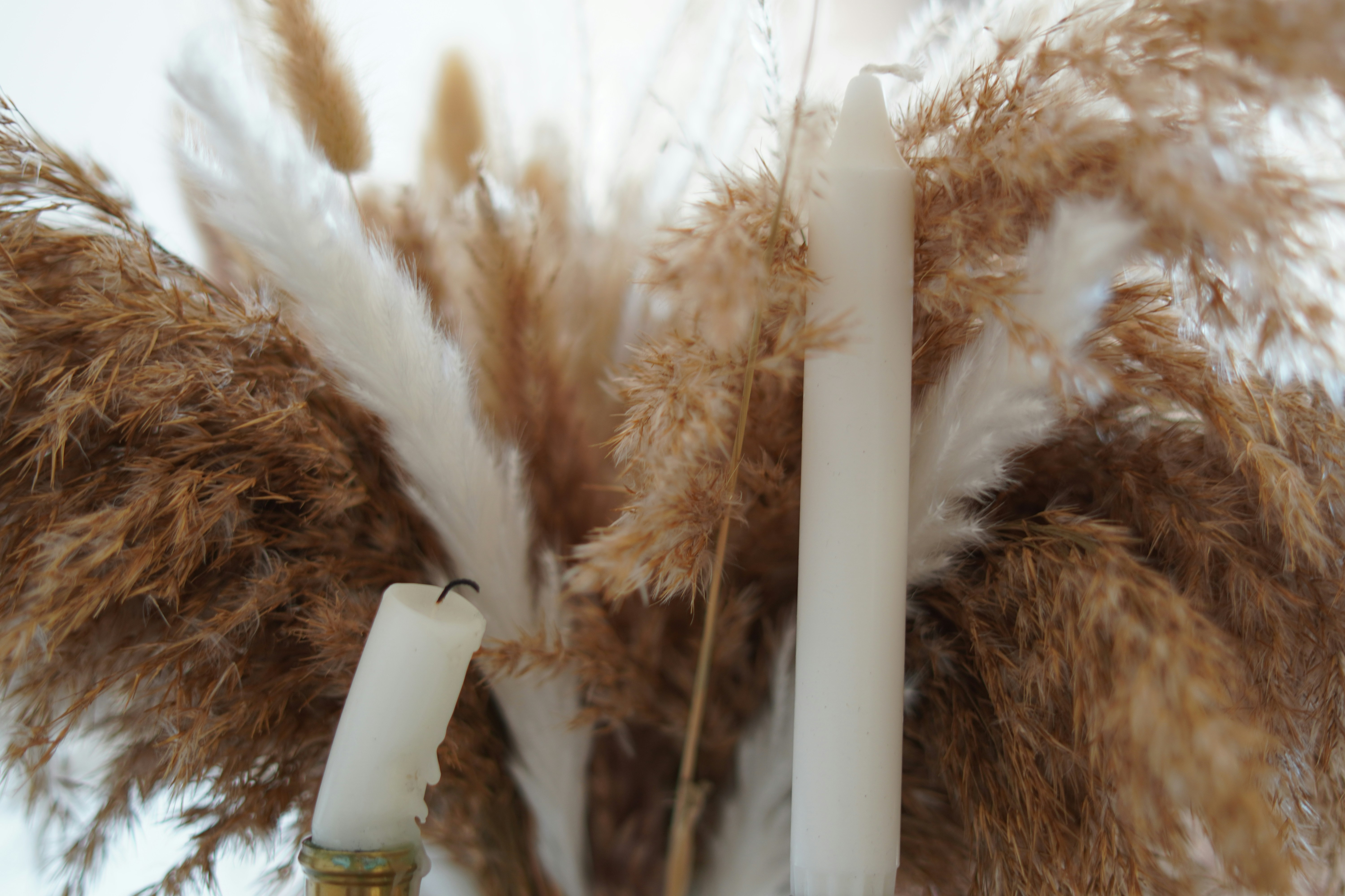 quelques bougies blanches assises l’une à côté de l’autre