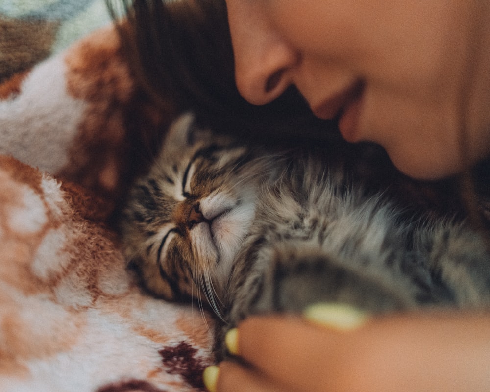 a close up of a person holding a cat