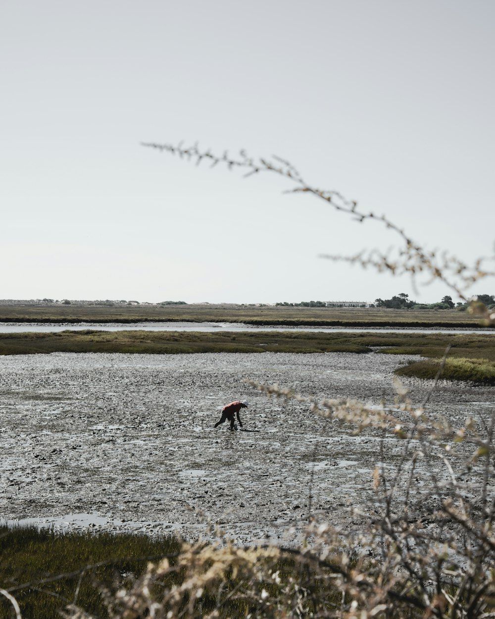 a person wading in a shallow body of water