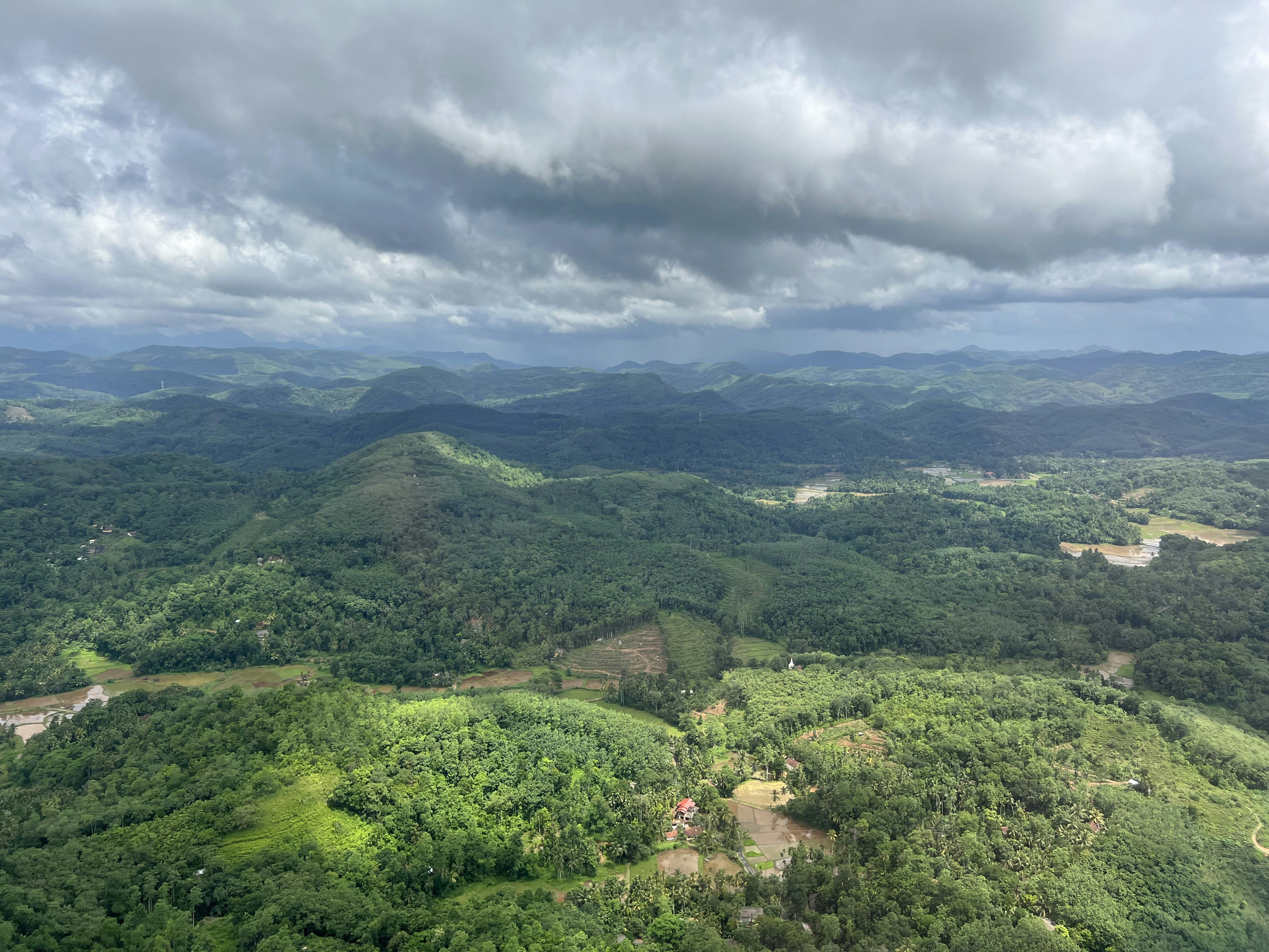 an aerial view of a lush green forest