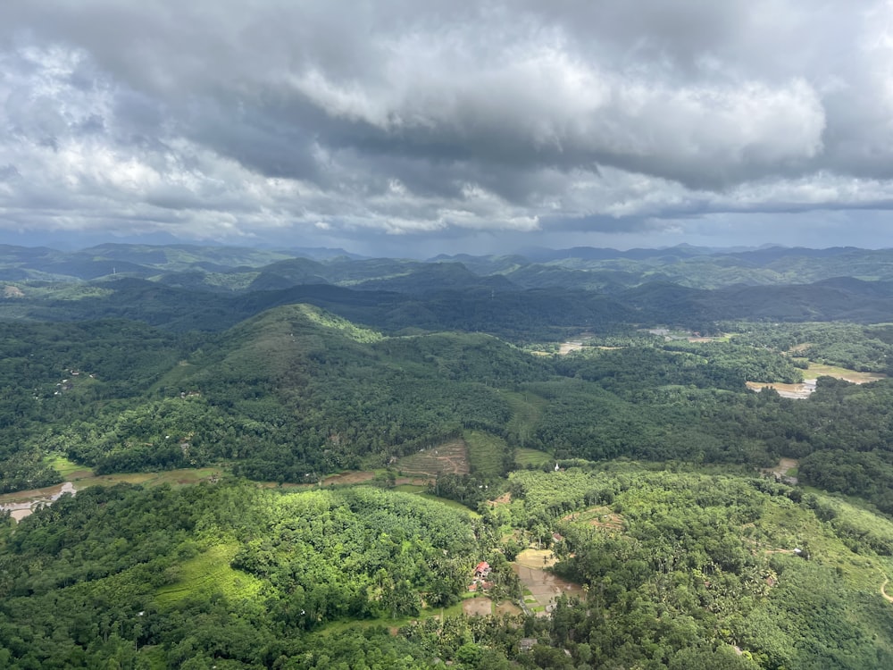 an aerial view of a lush green forest