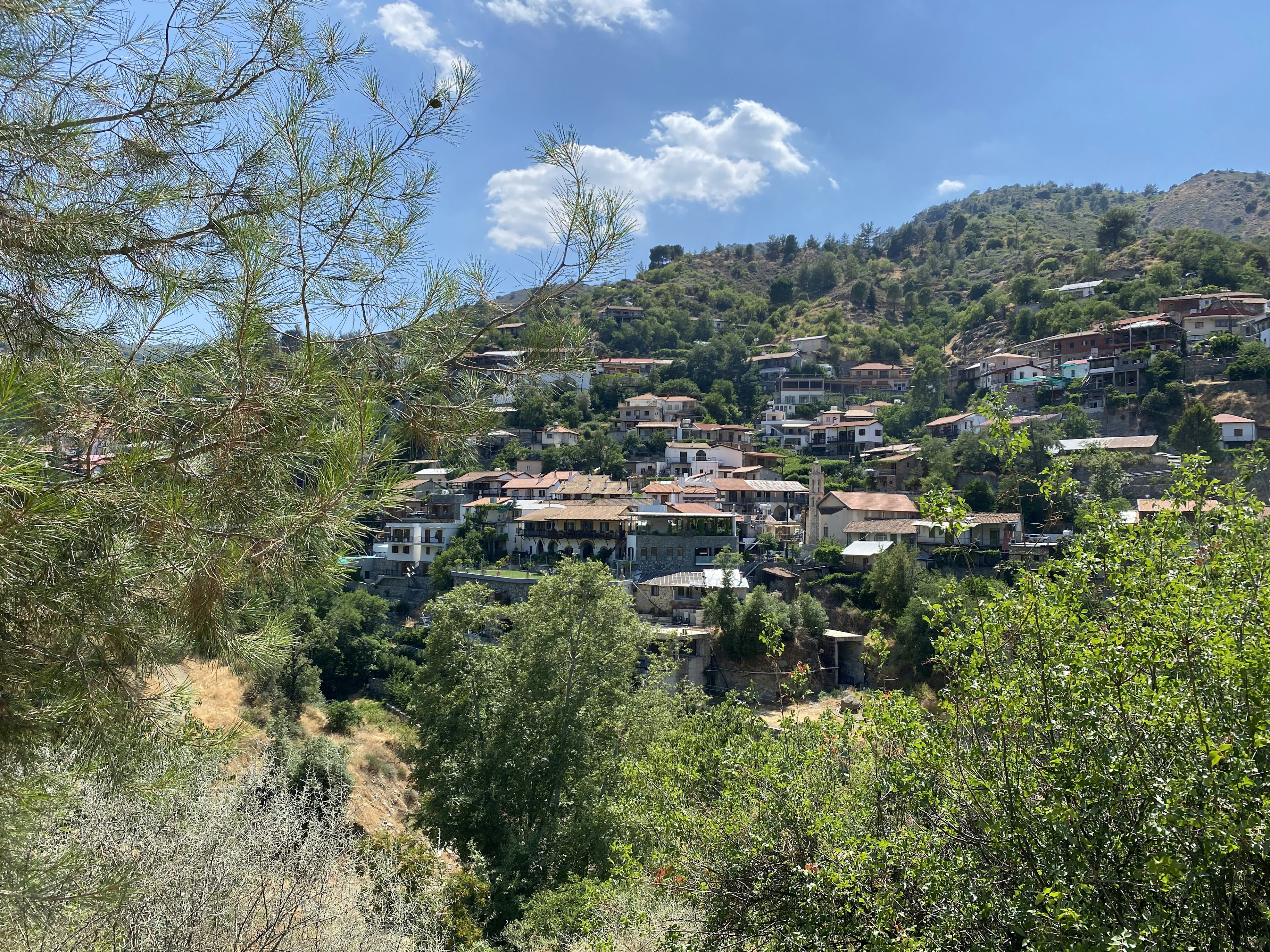 a small village nestled on a hill surrounded by trees