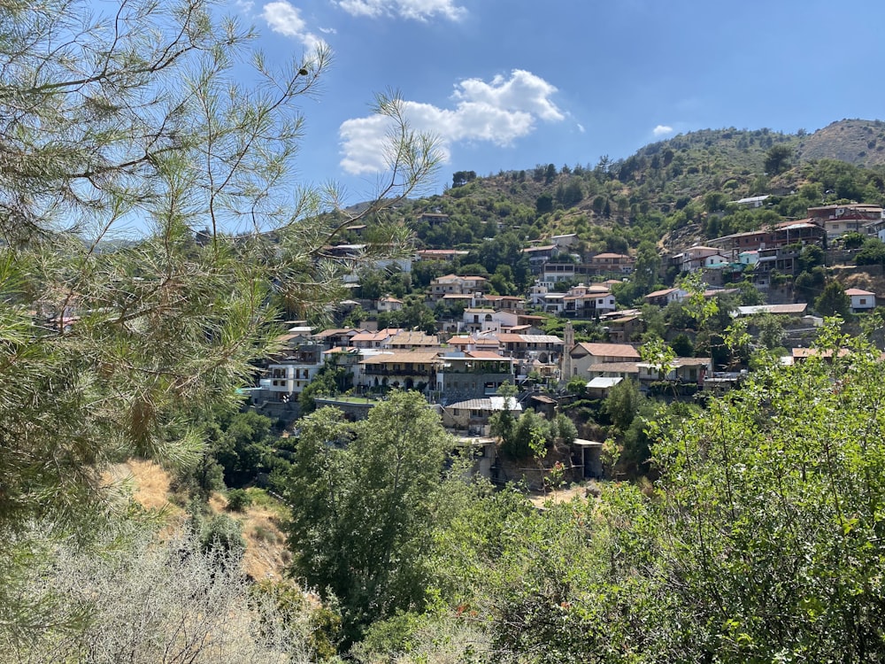 a small village nestled on a hill surrounded by trees