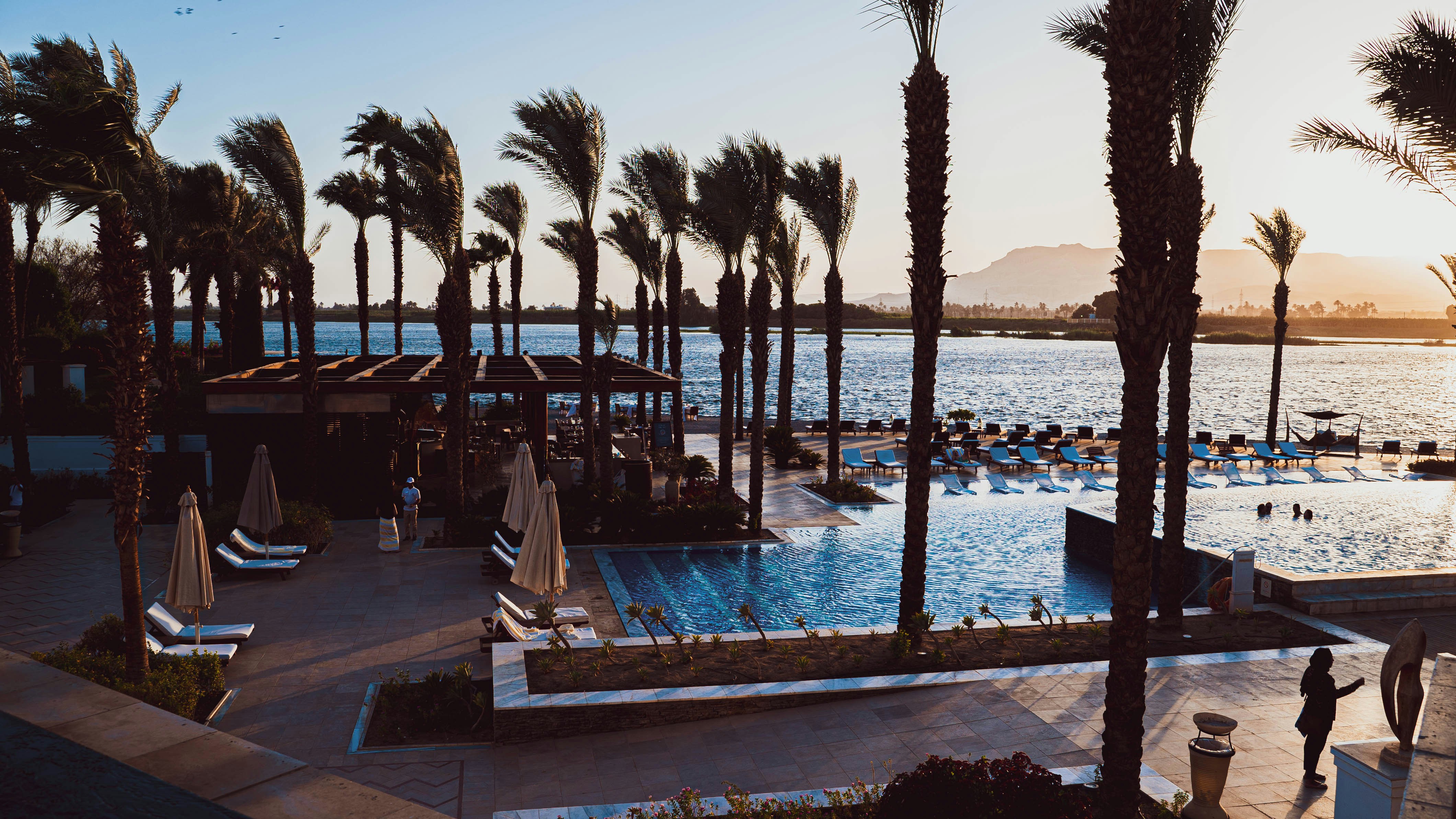 a large swimming pool surrounded by palm trees