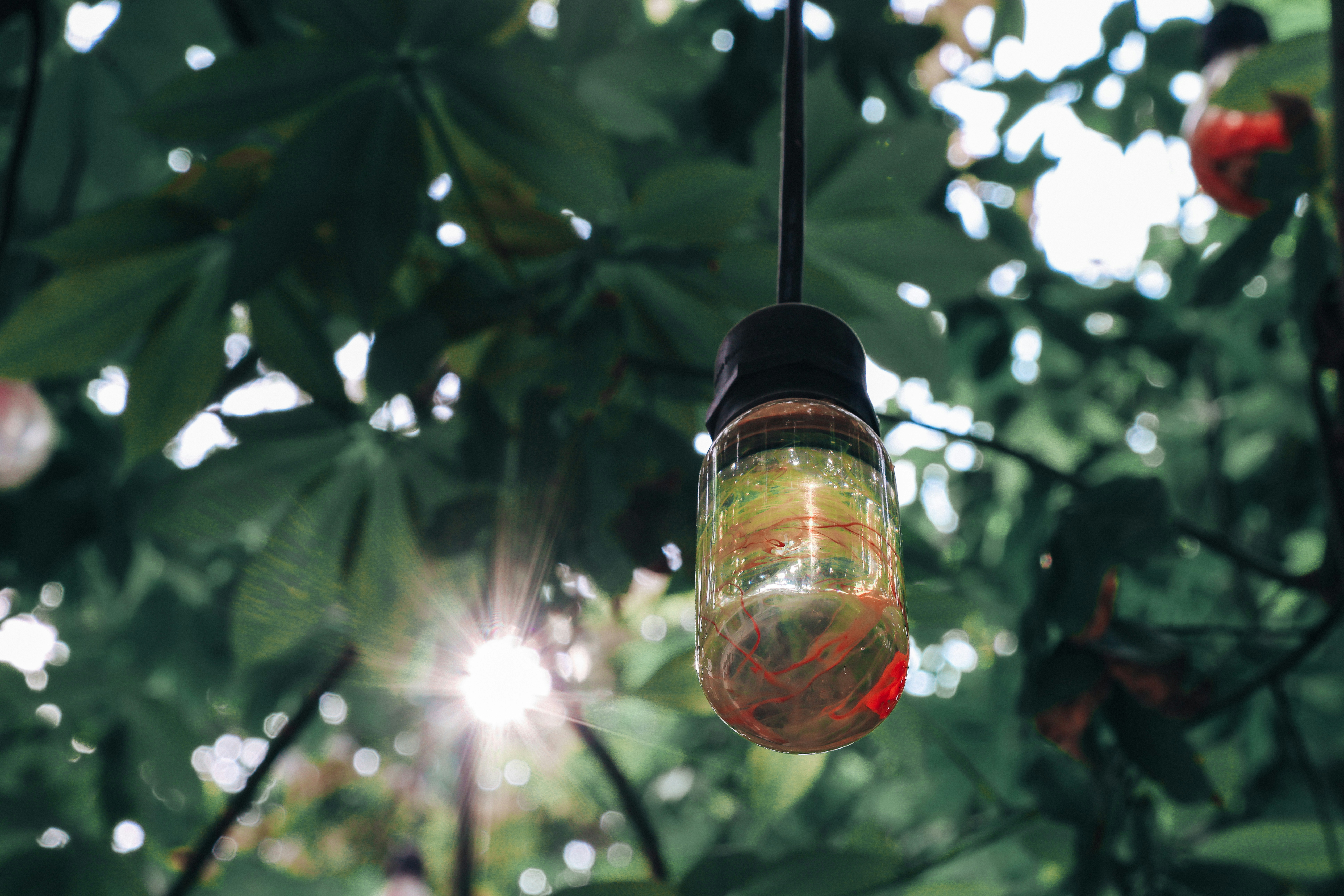 Photo by dickenslin76