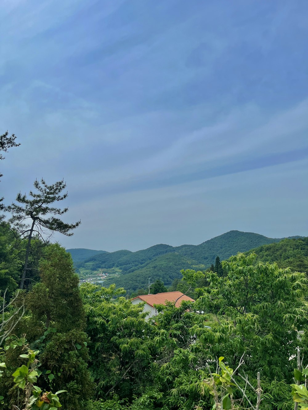 a view of the mountains from a distance