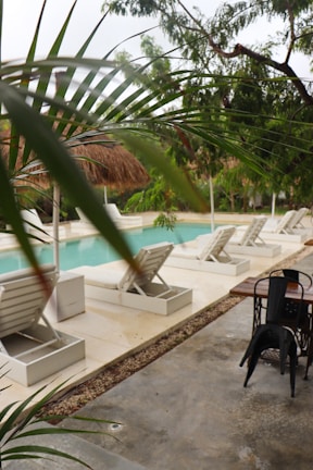 A serene swimming pool area with lounge chairs and tropical plants.