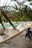 An inviting private pool area surrounded by tropical plants and lounge chairs.