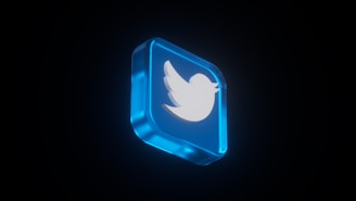 A 3D blue cube with a glowing outline featuring a white bird in flight, representing a social media logo, set against a dark background.